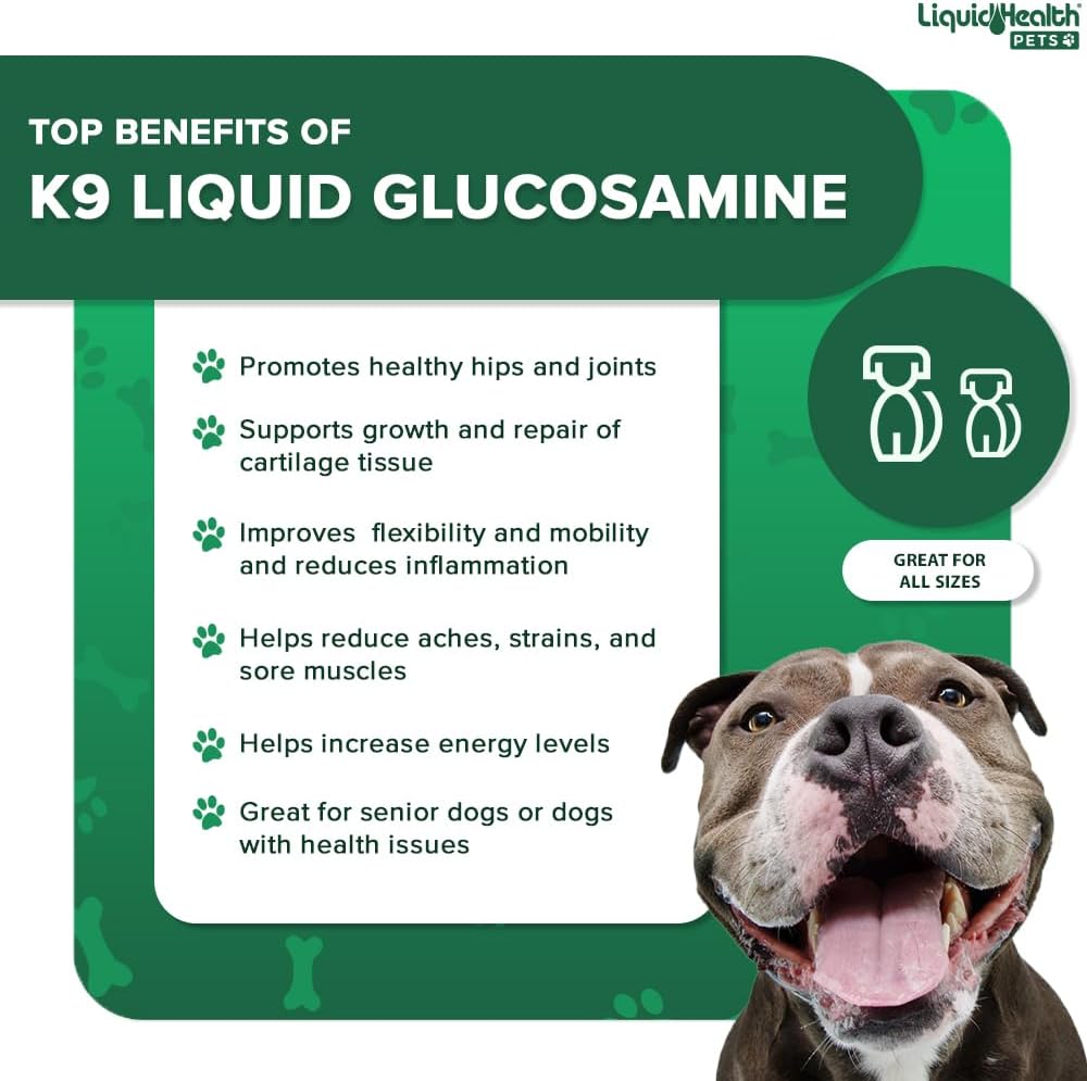 Pet Bundle for Joint Health, Mobility, Immune Support, and Ear Cleaning - LiquidHealth Pets K9 Glucosamine, Ear Wash, & Multivitamin Formula