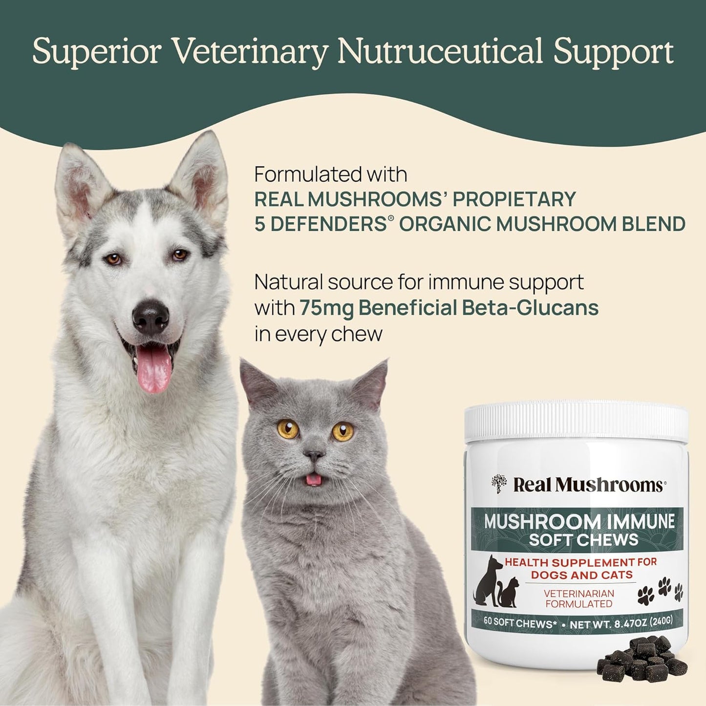 Pet Chews with Real Mushrooms for Immune Support - 60ct Supplements for Dogs and Cats with Ashwagandha, Astragalus, Blueberry, Olive Leaf, and Acerola for Gut Health