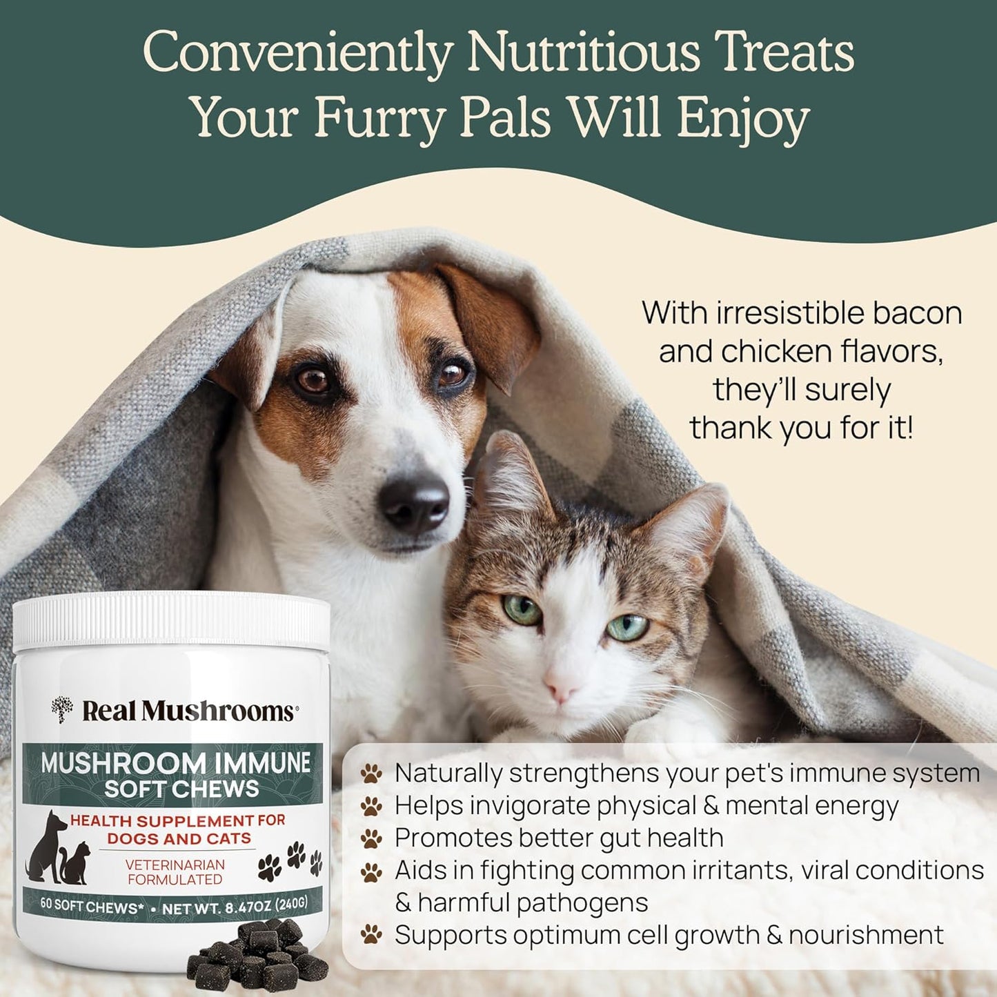 Pet Chews with Real Mushrooms for Immune Support - 60ct Supplements for Dogs and Cats with Ashwagandha, Astragalus, Blueberry, Olive Leaf, and Acerola for Gut Health