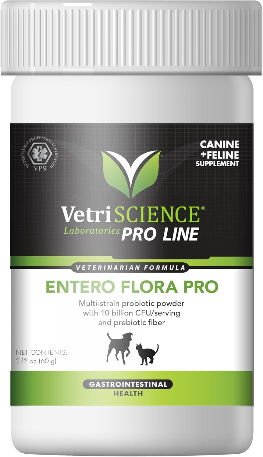Pet-Friendly Probiotic Powder for Dogs & Cats - Gut Flora Health Supplement - Probiotic Blend with Fiber - 2.12 oz