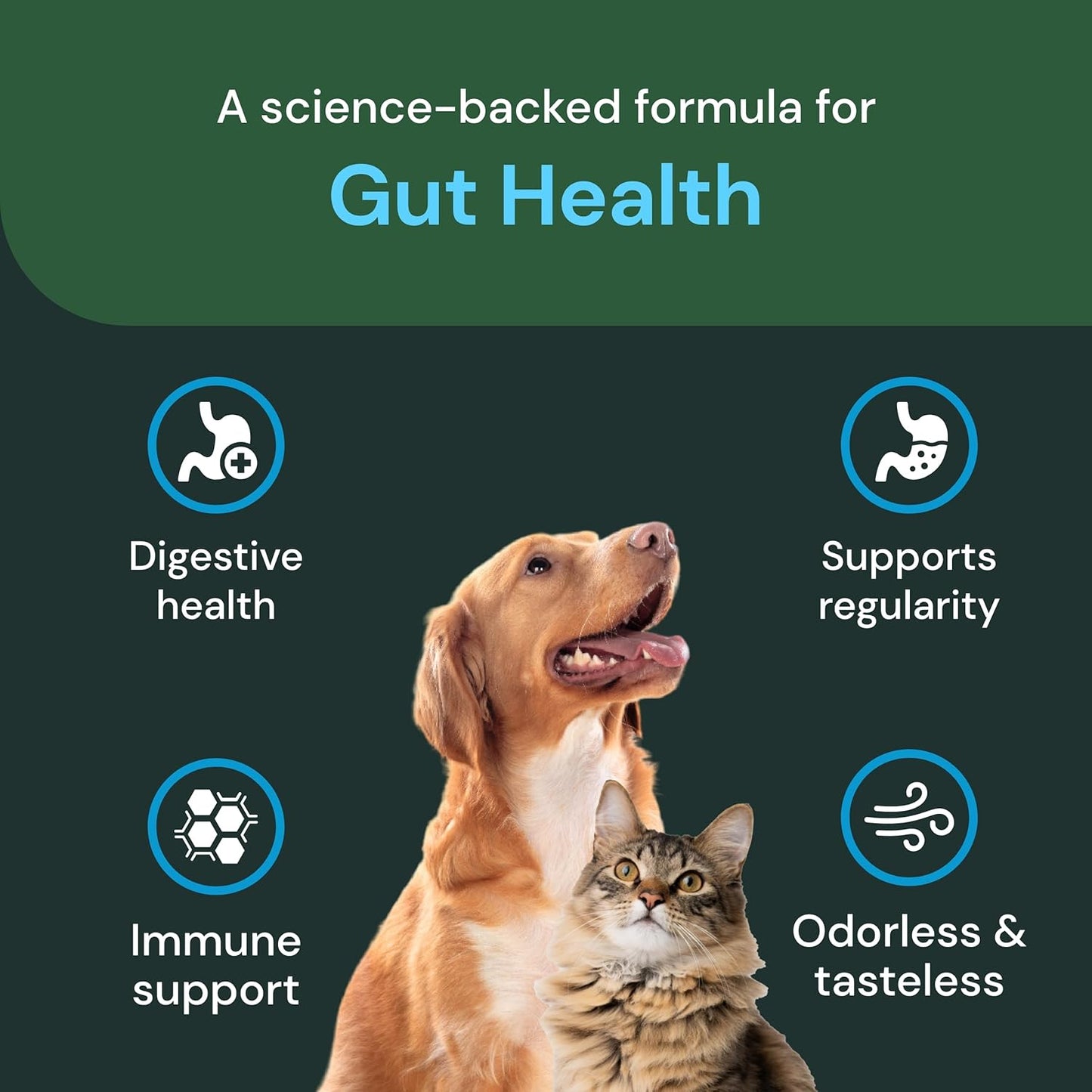 Pet-Friendly Probiotic Powder for Dogs & Cats - Gut Flora Health Supplement - Probiotic Blend with Fiber - 2.12 oz