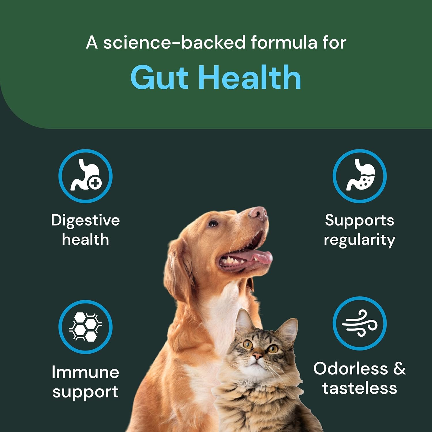 Pet-Friendly Probiotic Powder for Dogs & Cats - Gut Flora Health Supplement - Probiotic Blend with Fiber - 2.12 oz