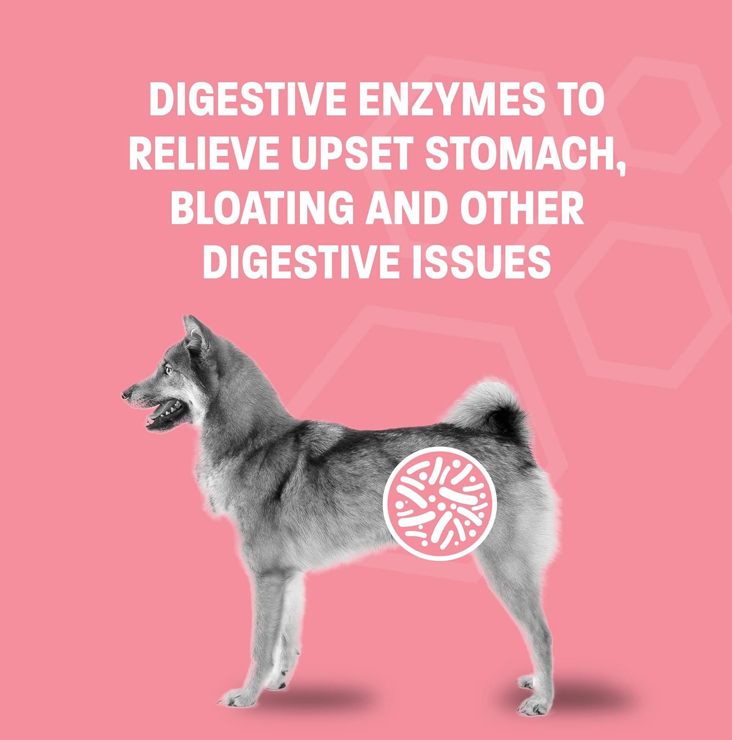 Pet Health Pros Probiotic Gel for Dogs & Cats - Improve Digestive Health - Anti-Diarrhea Probiotic Paste - Ideal for Travel, Kenneling, Training - 30 cc