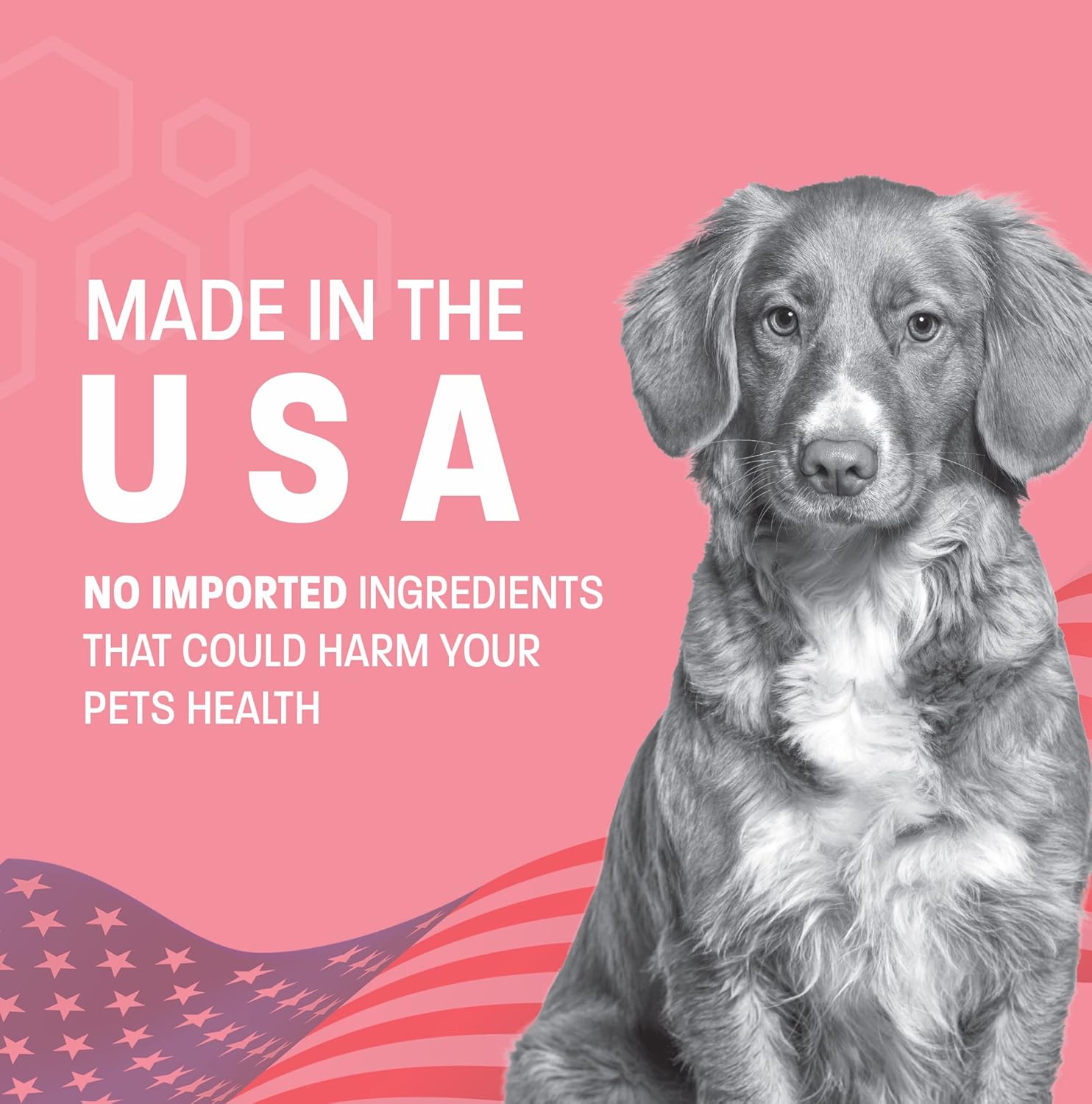 Pet Health Pros Probiotic Gel for Dogs & Cats - Improve Digestive Health - Anti-Diarrhea Probiotic Paste - Ideal for Travel, Kenneling, Training - 30 cc