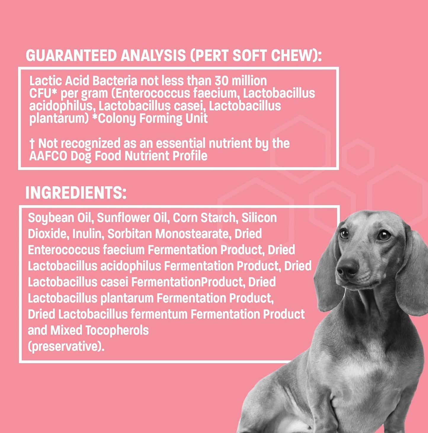 Pet Health Pros Probiotic Gel for Dogs & Cats - Improve Digestive Health - Anti-Diarrhea Probiotic Paste - Ideal for Travel, Kenneling, Training - 30 cc