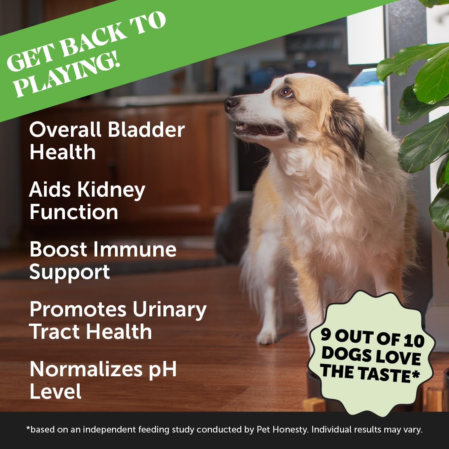 Pet Honesty Cranberry Bladder Health Supplement for Dogs - Supports Urinary Tract, Bladder, & Kidney Health - Bacon Flavor - Active Cranberry & D-Mannose Ingredients