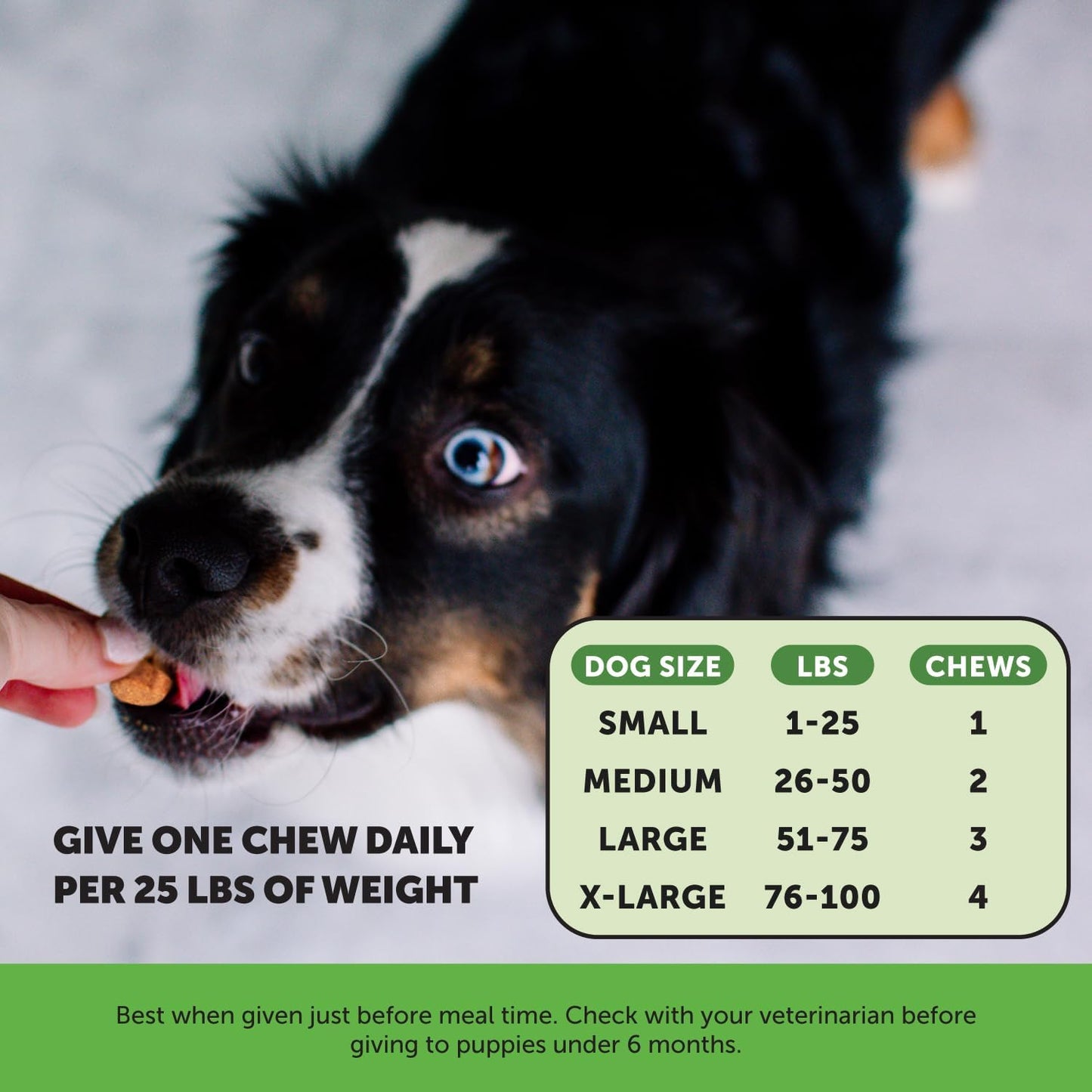 Pet Honesty Cranberry Bladder Health Supplement for Dogs - Supports Urinary Tract, Bladder, & Kidney Health - Bacon Flavor - Active Cranberry & D-Mannose Ingredients