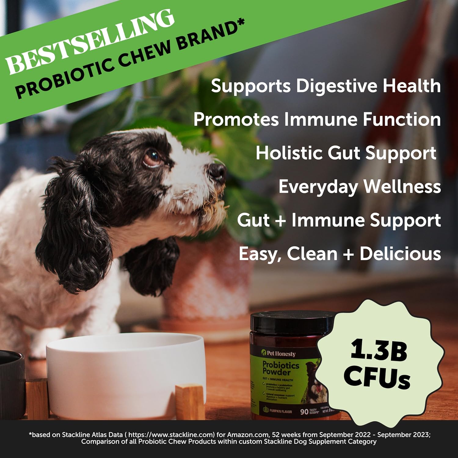 Pet Honesty Probiotics Bundle: Digestive Enzymes for Dog Gut Health - Duck Flavored Chews and Powder for Diarrhea and Bowel Support (90 ct)