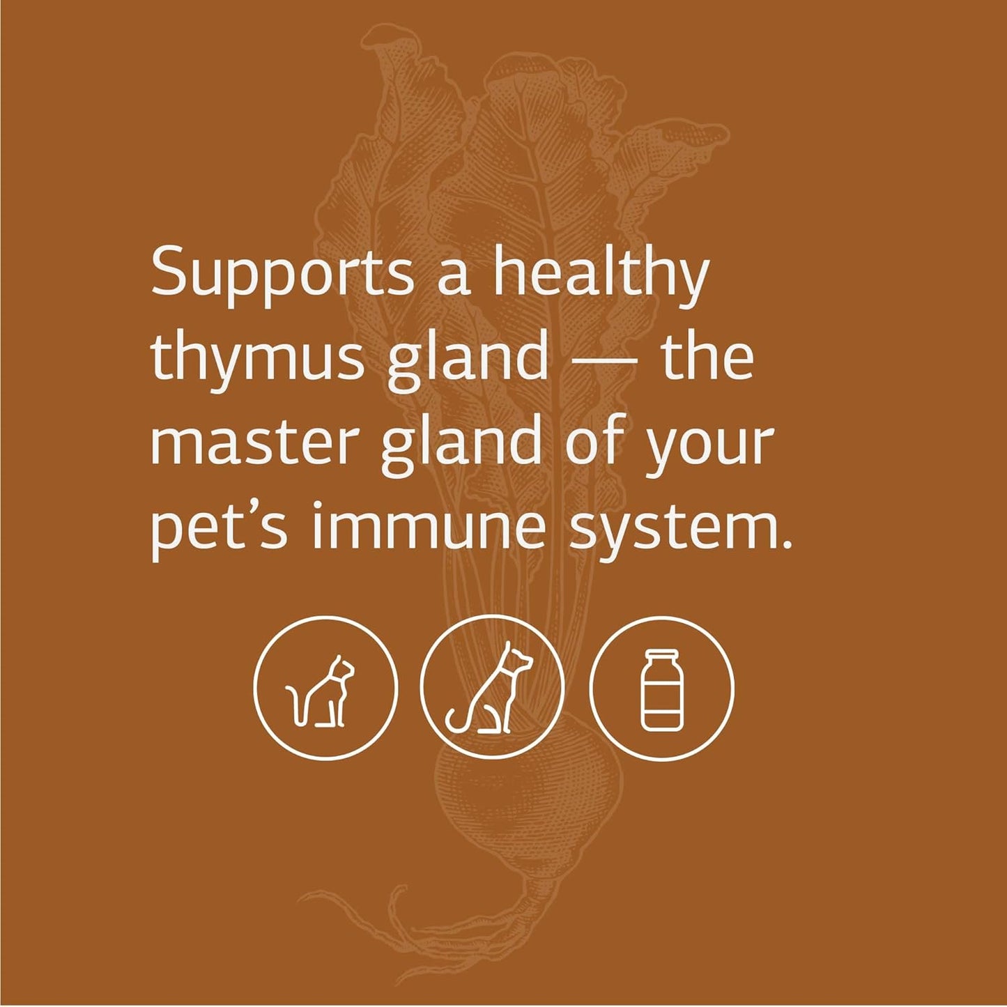 Pet Immune System Support Supplement with Vitamin C - 90 Tablets - Thymus Supplement for Cats & Dogs - Boost Canine & Feline Immune Health