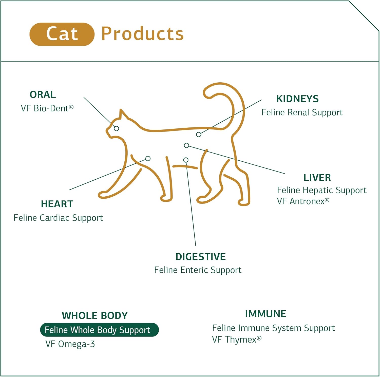 Pet Immune System Support Supplement with Vitamin C - 90 Tablets - Thymus Supplement for Cats & Dogs - Boost Canine & Feline Immune Health