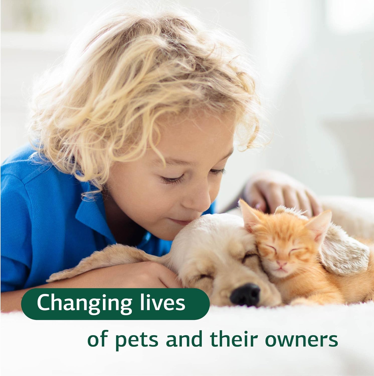 Pet Immune System Support Supplement with Vitamin C - 90 Tablets - Thymus Supplement for Cats & Dogs - Boost Canine & Feline Immune Health