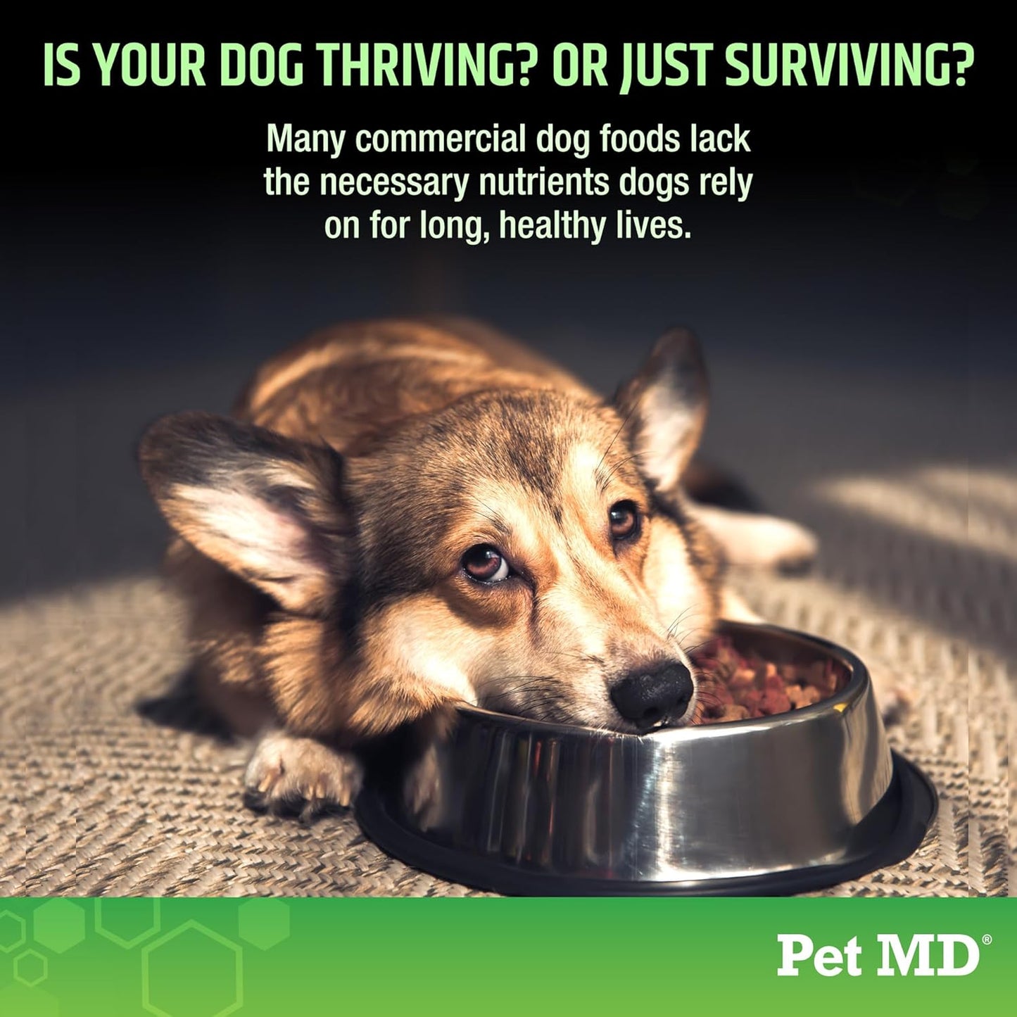 Pet MD 5in1 Dog Multivitamin with 30 Essential Nutrients for Skin & Coat, Hip & Joint, Digestion - Senior Dog & Puppy Vitamins - 60ct Bottle with Glucosamine, Omega 3 6 9, & Probiotics