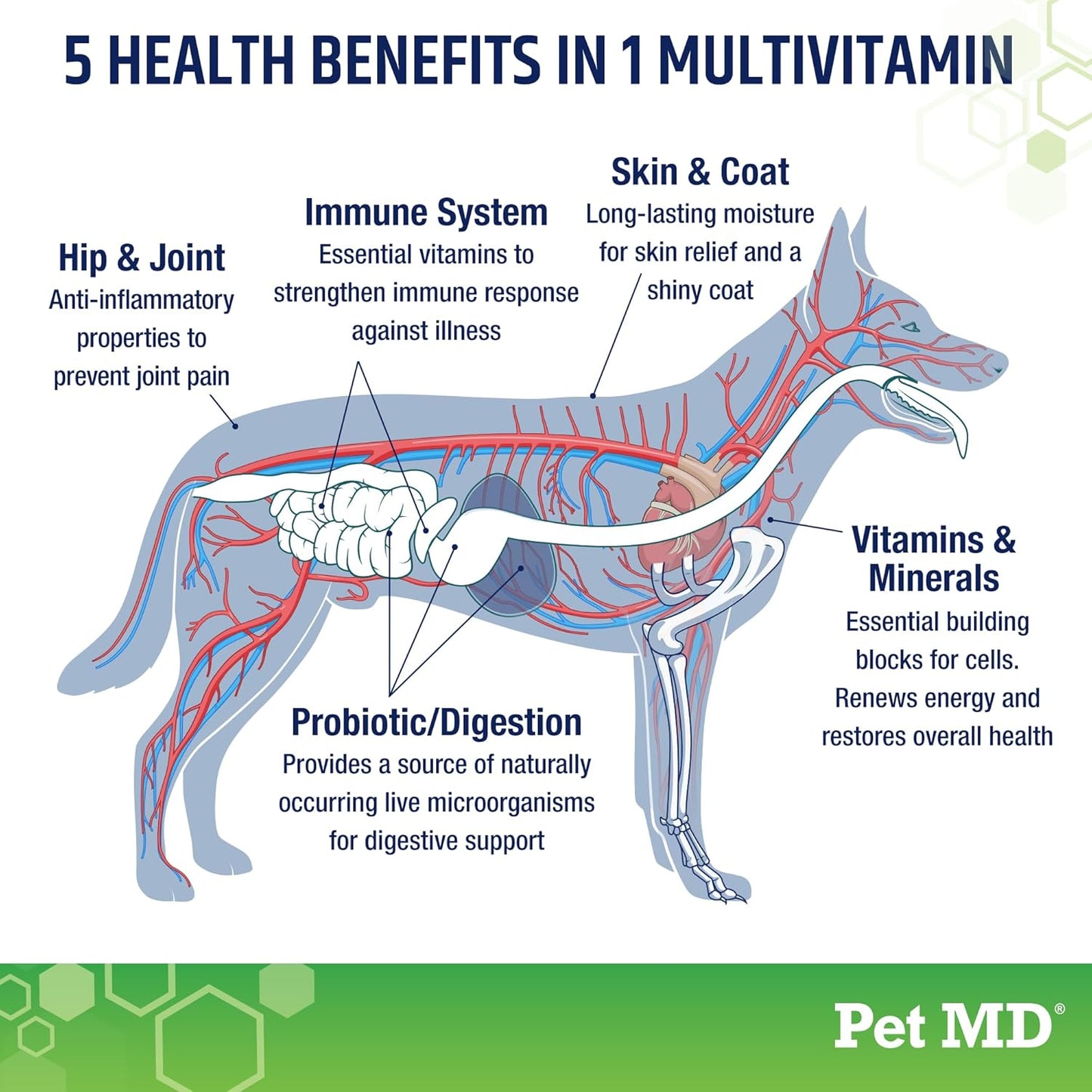 Pet MD 5in1 Dog Multivitamin with 30 Essential Nutrients for Skin & Coat, Hip & Joint, Digestion - Senior Dog & Puppy Vitamins - 60ct Bottle with Glucosamine, Omega 3 6 9, & Probiotics
