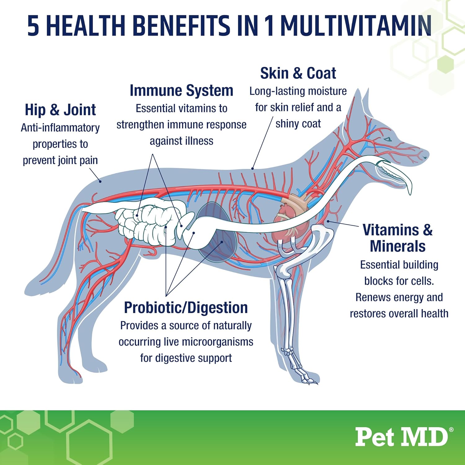 Pet MD 5in1 Dog Multivitamin with 30 Essential Nutrients for Skin & Coat, Hip & Joint, Digestion - Senior Dog & Puppy Vitamins - 60ct Bottle with Glucosamine, Omega 3 6 9, & Probiotics