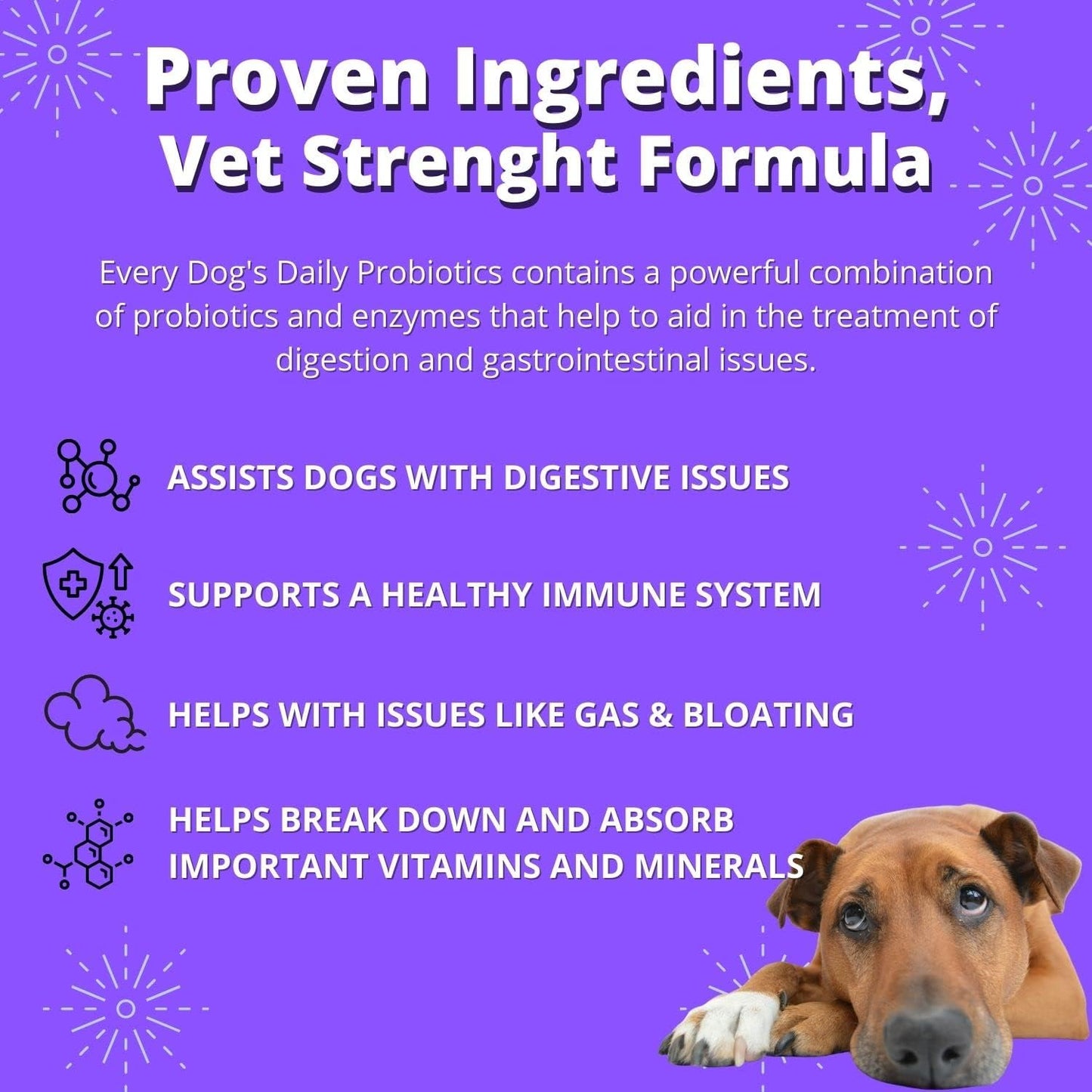 Pet Probiotics and Digestive Enzymes Soft Chews for Dogs - Relieve Diarrhea, Gas, Bloating, Constipation, Upset Stomach - Support for Dog Digestion - Probiotics for Dogs and Puppies