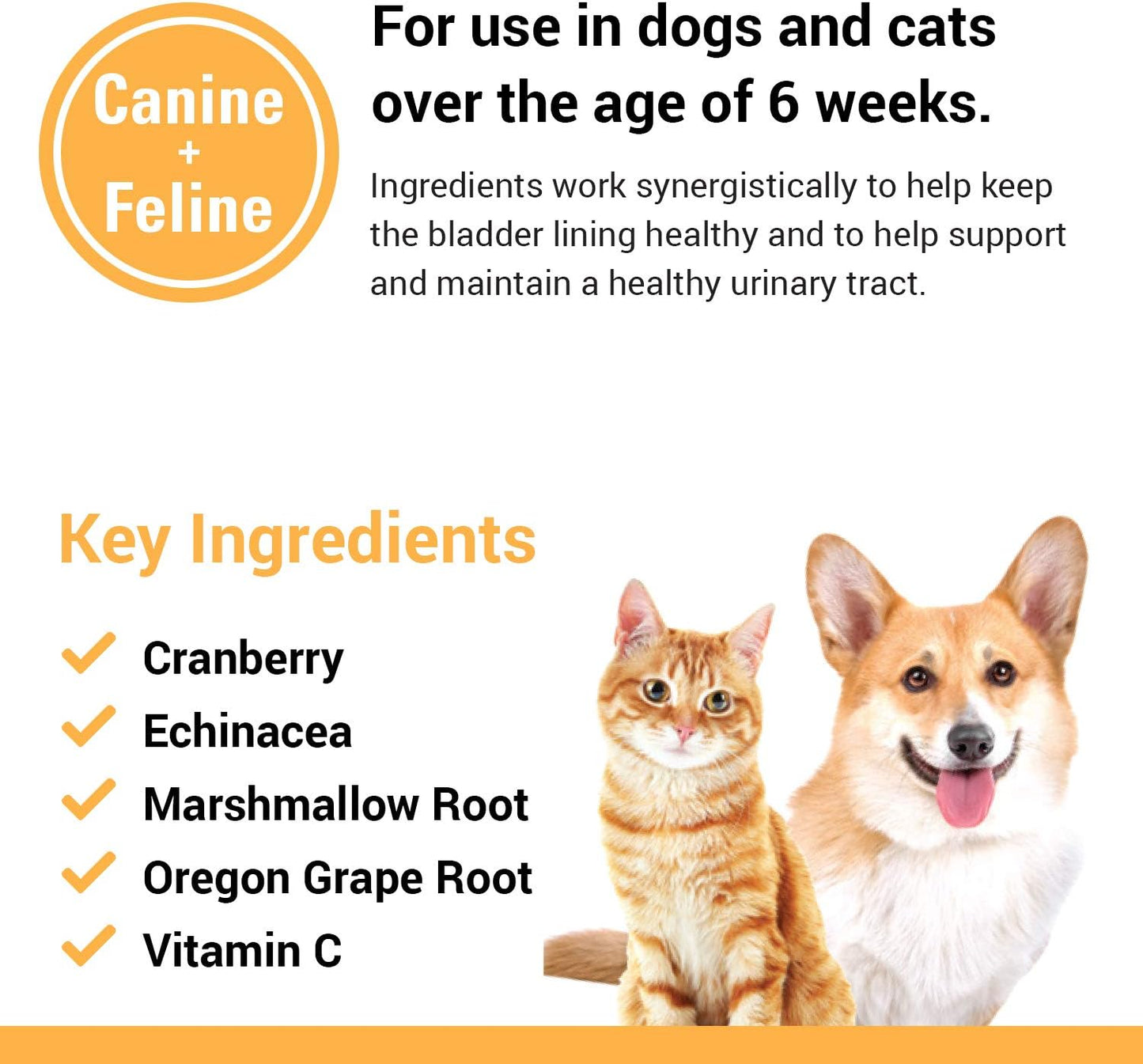 Pet Supplement for Bladder Health in Dogs and Cats - Cranberry Comfort Urinary Tract Formula - Supports Incontinence Control - 3.5 oz Powder