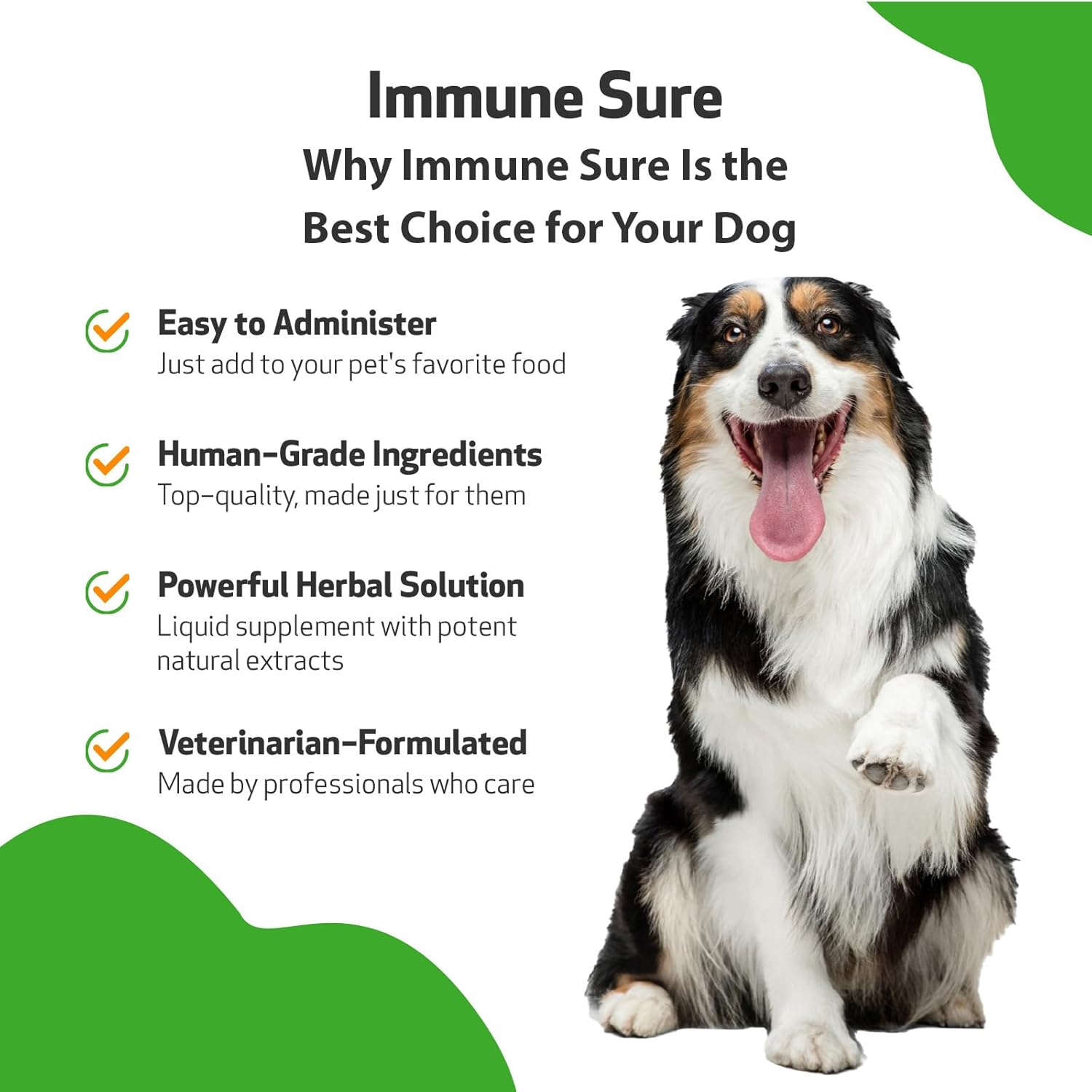 Pet Wellbeing Immune Support Supplement for Dogs - Boosts Immune Health, Gut Balance, Andrographis, Echinacea, Vitamin C, Zinc - 2 oz
