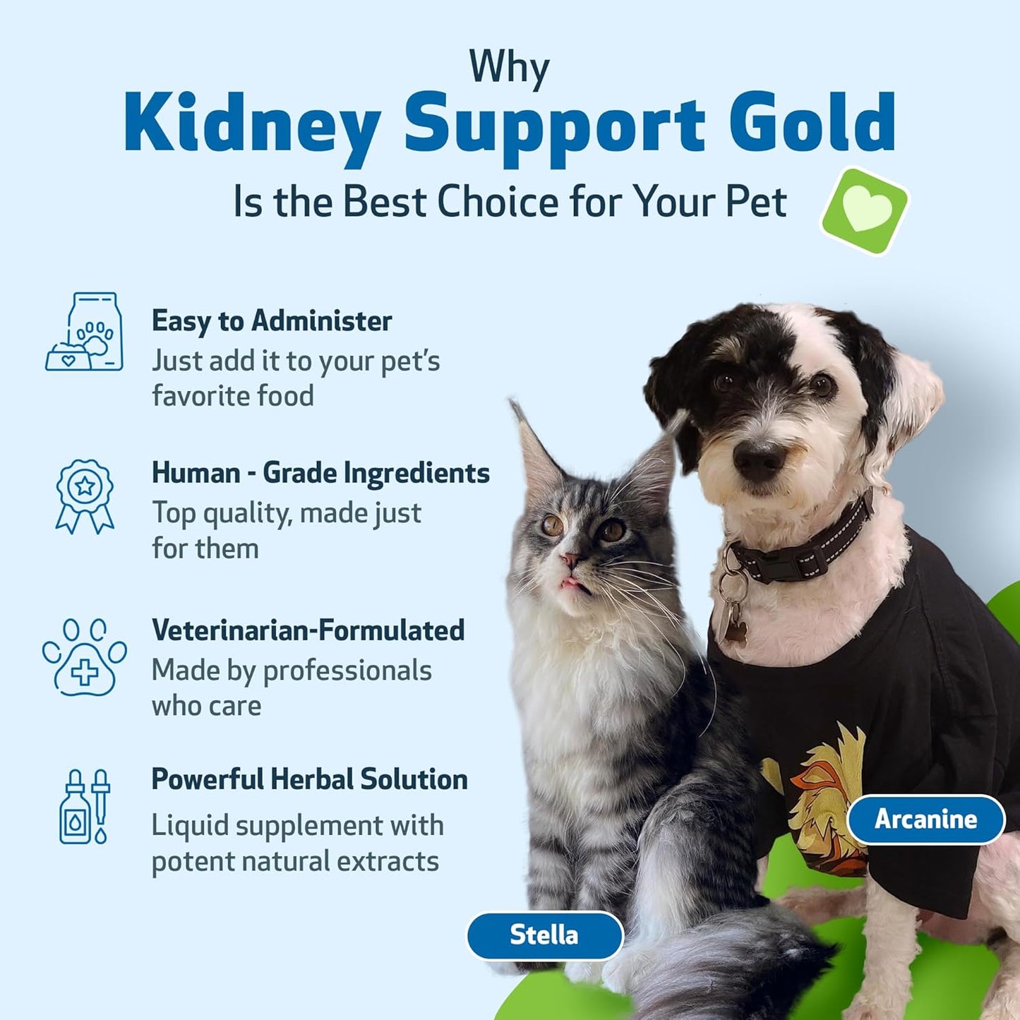 Pet Wellbeing Kidney Support Gold - Natural Supplement for Dog Kidney Health (4 fl oz)