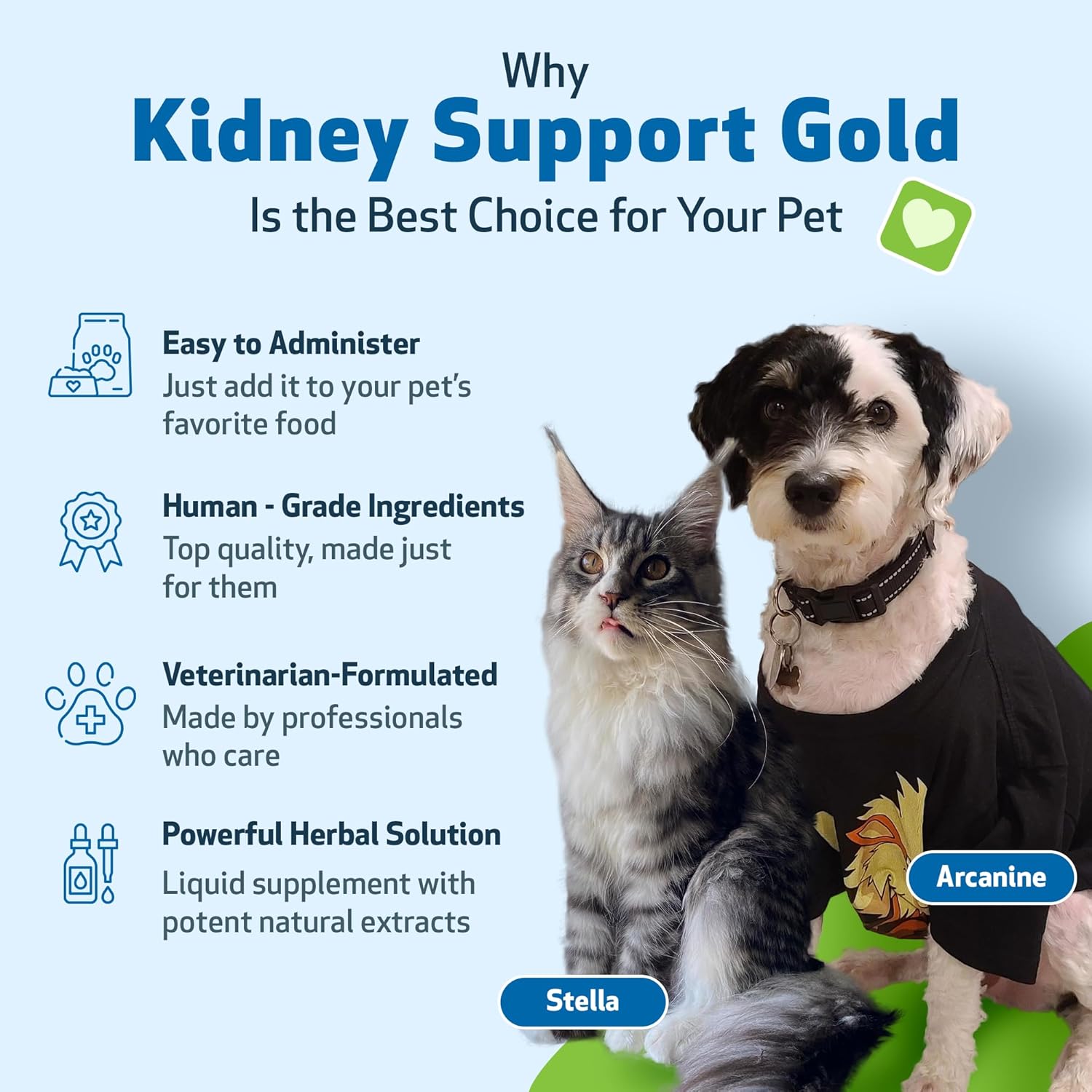 Pet Wellbeing Kidney Support Gold - Natural Supplement for Dog Kidney Health (4 fl oz)