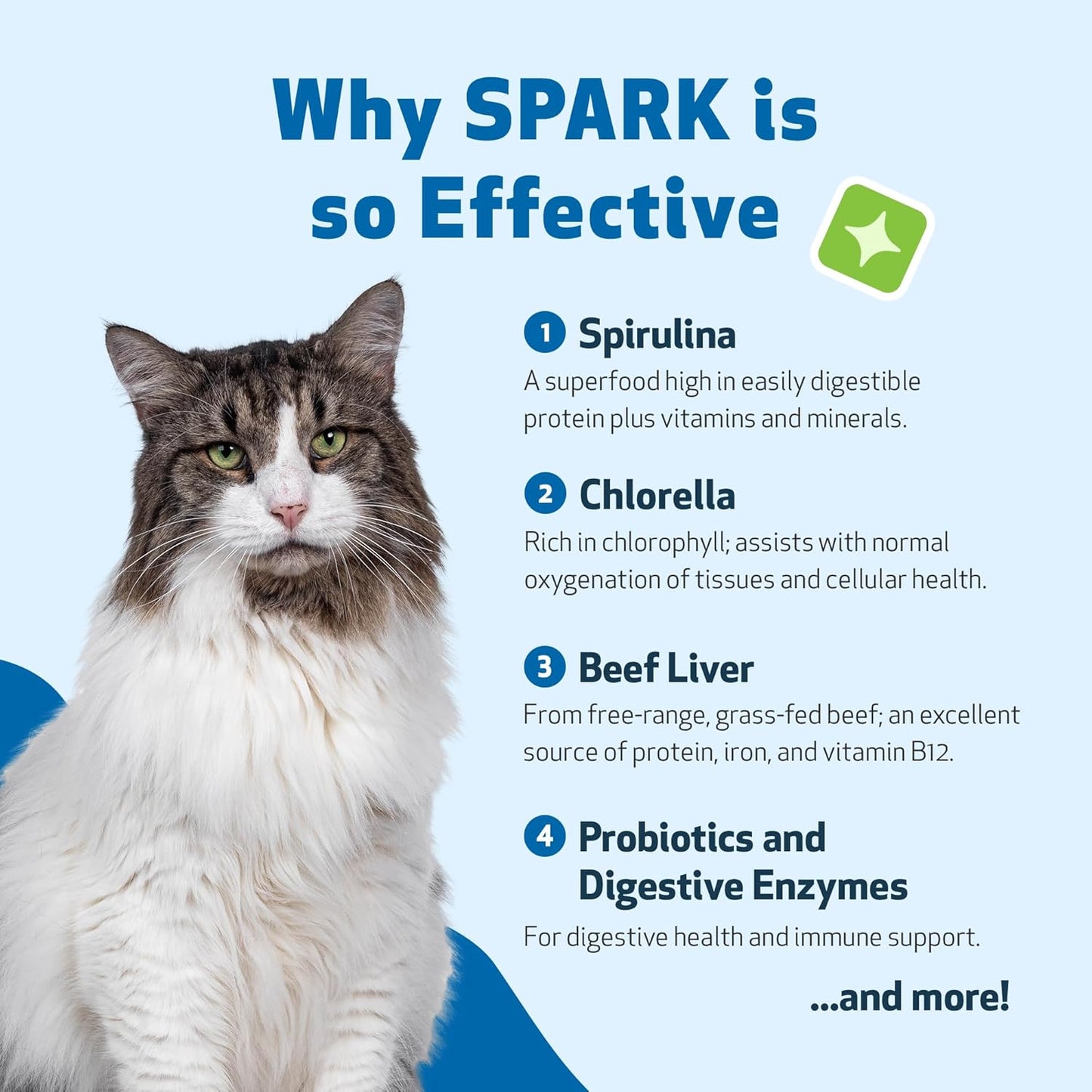 Pet Wellbeing Spark Daily Nutritional Greens Superfood for Cats - Veterinarian-Formulated with Probiotics, Prebiotics, Digestive Enzymes, Amino Acids, Antioxidants, Vitamin D, and Spirulina - 3.53 oz