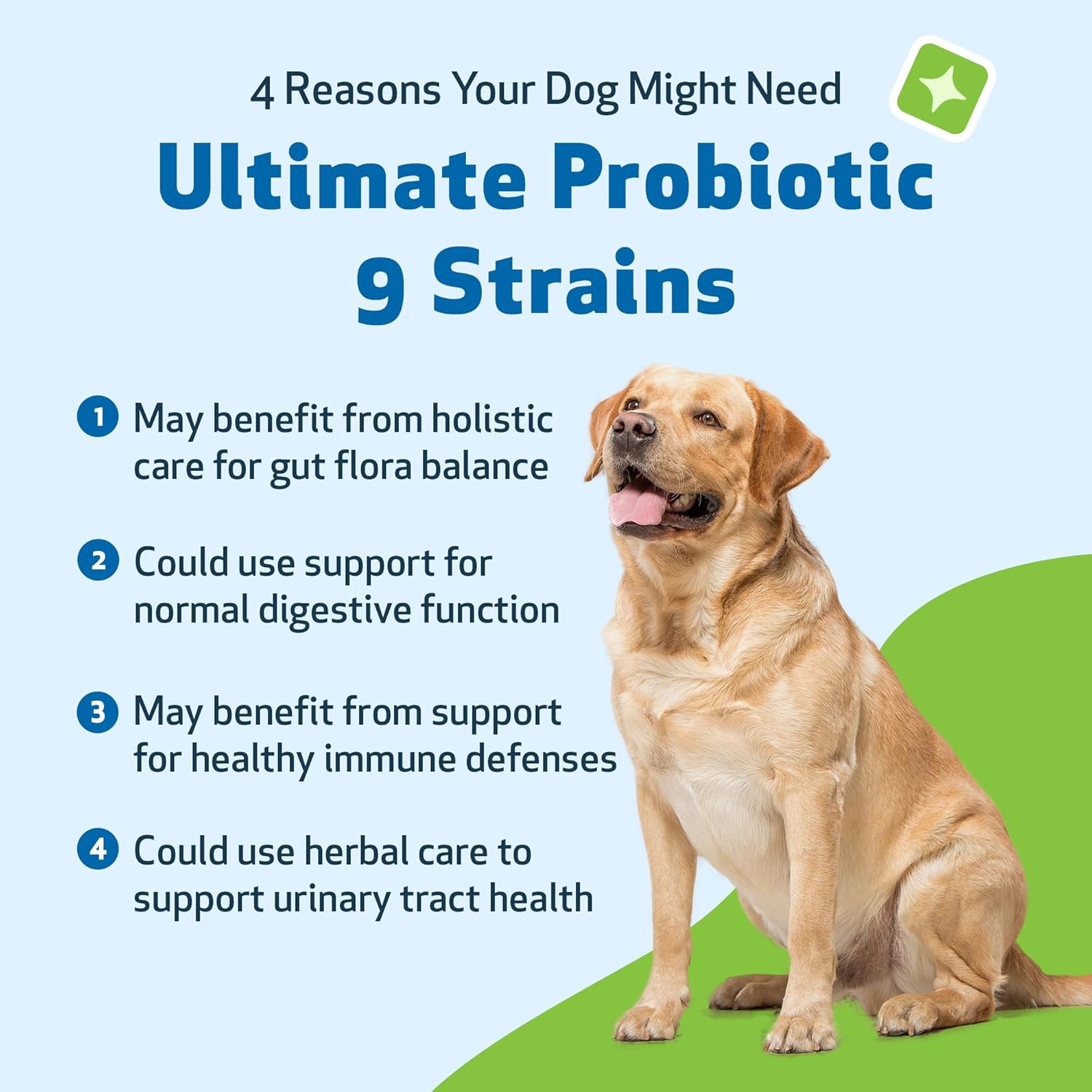 Pet Wellbeing Ultimate Probiotic - 9 Strains for Cats & Dogs - Digestive & Urinary Health Support 160g