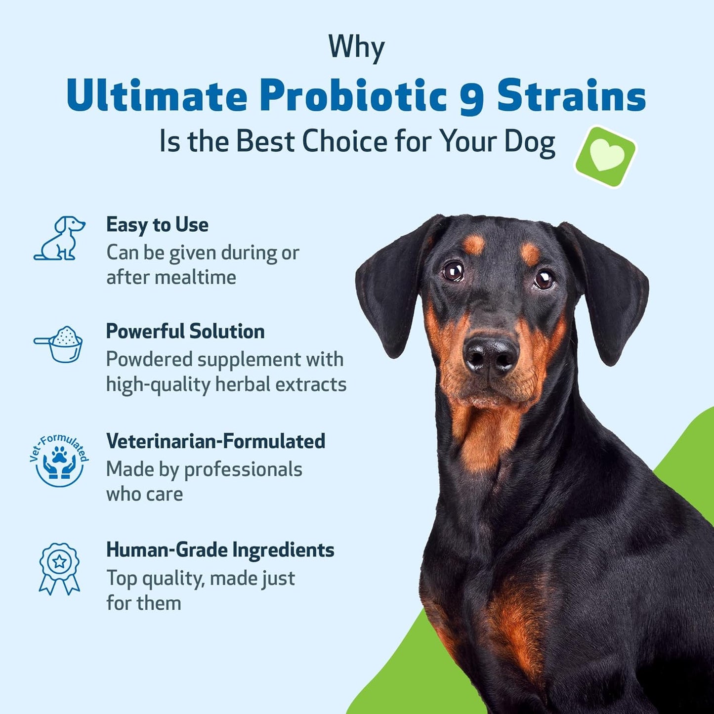 Pet Wellbeing Ultimate Probiotic - 9 Strains for Cats & Dogs - Digestive & Urinary Health Support 160g