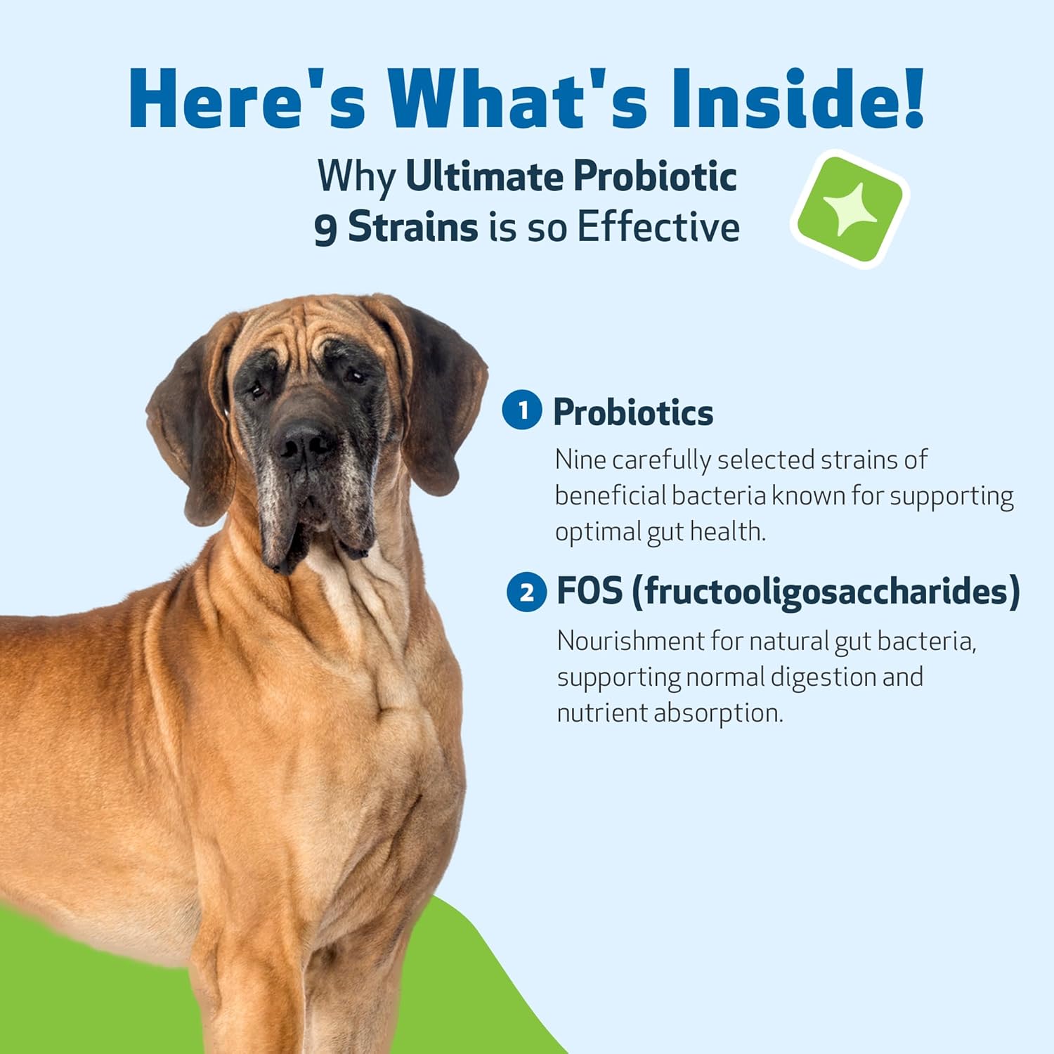 Pet Wellbeing Ultimate Probiotic - 9 Strains for Cats & Dogs - Digestive & Urinary Health Support 160g