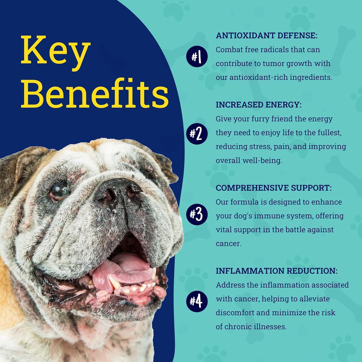 PetHeal Immune Guard Soft Chews for Dogs with Cancer - Natural Peanut Butter Flavor - 55 Count