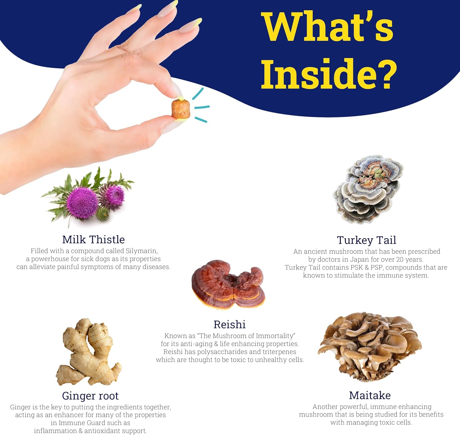 PetHeal Immune Guard Soft Chews for Dogs with Cancer - Natural Peanut Butter Flavor - 55 Count