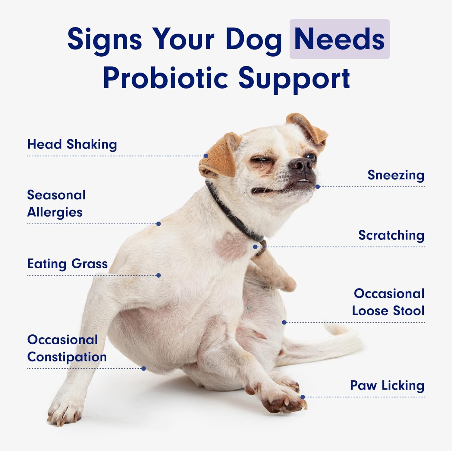 PetLab Co. Salmon Flavored Probiotic Soft Chews for Dogs - 60 Count - Supports Gut Health, Digestion, Diarrhea & Allergies