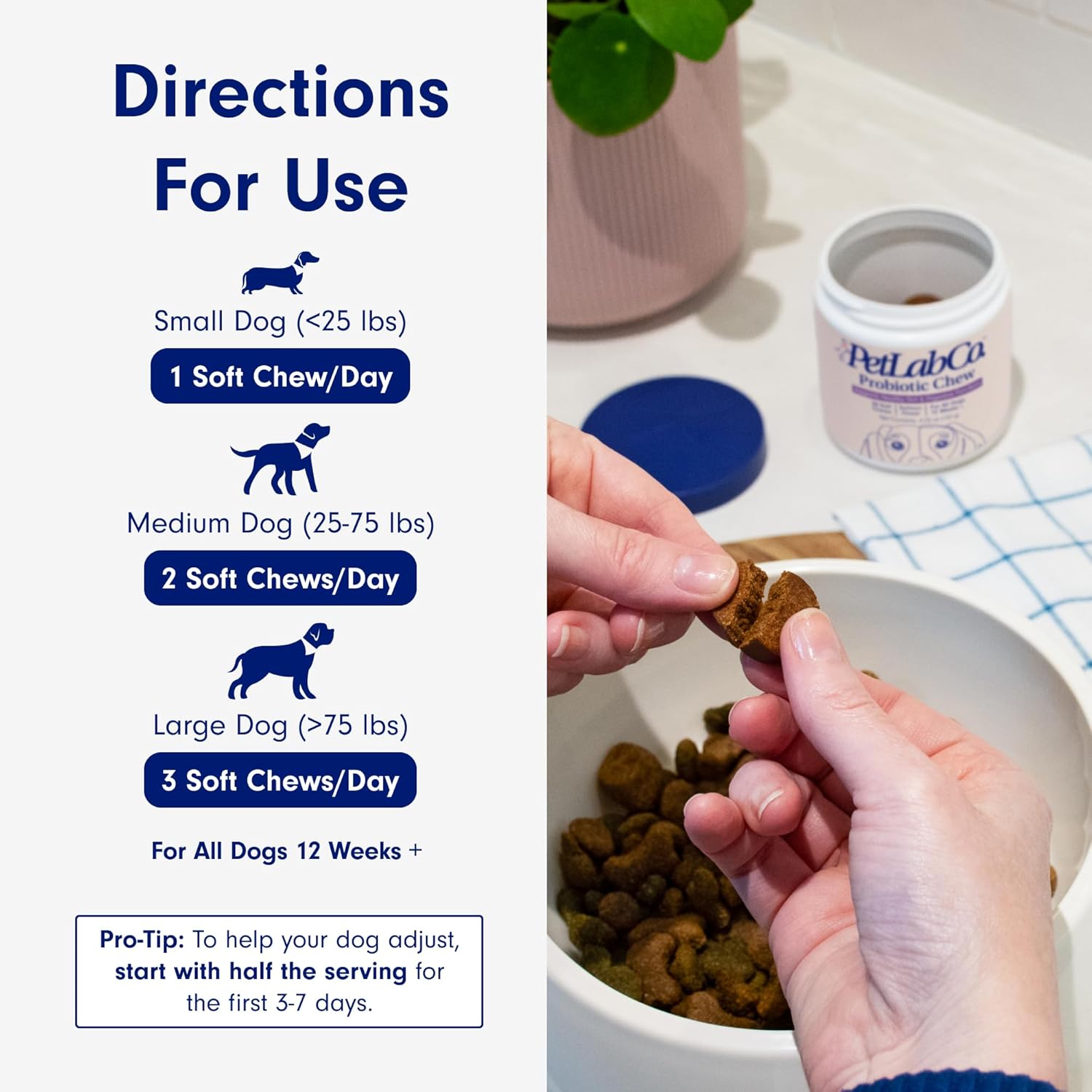 PetLab Co. Salmon Flavored Probiotic Soft Chews for Dogs - 60 Count - Supports Gut Health, Digestion, Diarrhea & Allergies