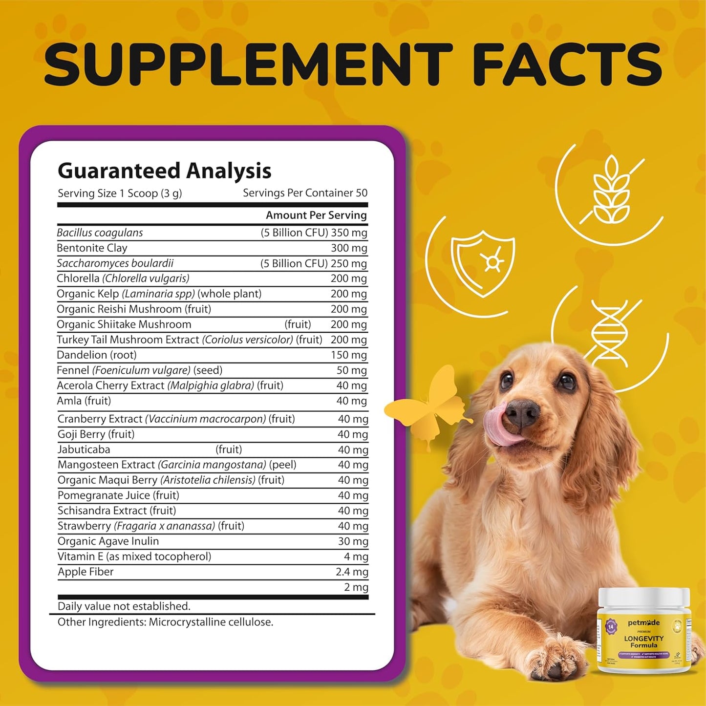 PETMADE Turkey Tail Mushroom Antioxidant Dog Supplements - Longevity Formula with Prebiotics and Probiotics - Gut Health Support Powder for All Dogs - 5.3 oz