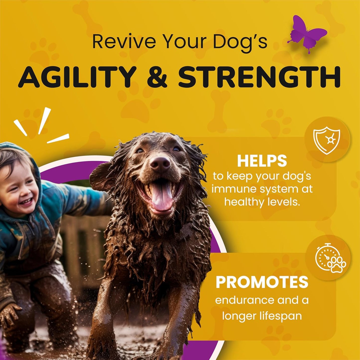 PETMADE Turkey Tail Mushroom Antioxidant Dog Supplements - Longevity Formula with Prebiotics and Probiotics - Gut Health Support Powder for All Dogs - 5.3 oz