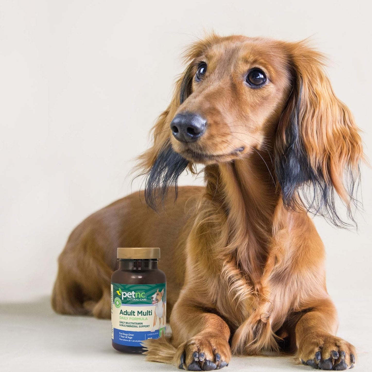 PetNC Natural Care Adult Multi Chewables - 75 Count for Dogs