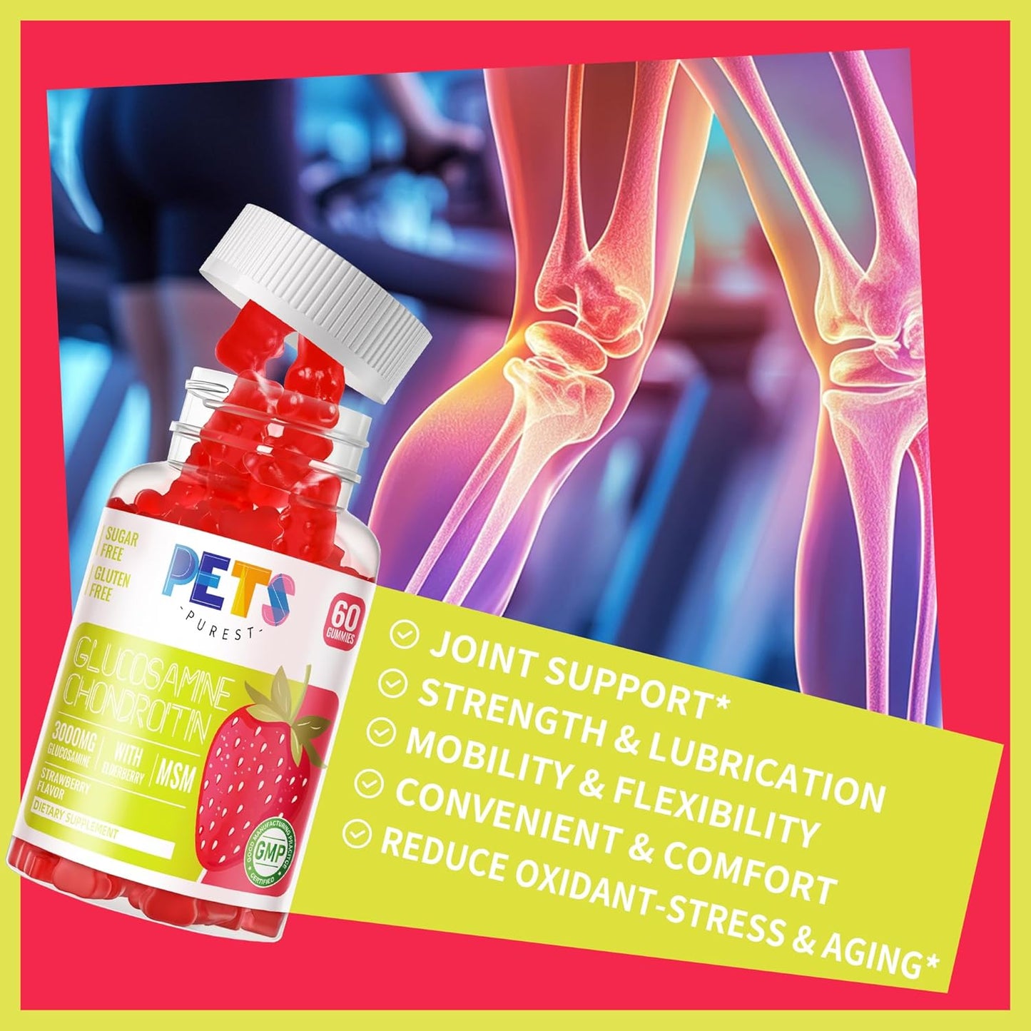 Pets Purest Glucosamine Chondroitin Gummies with MSM & Elderberry - Joint & Immune Support (2 Pack, Strawberry Flavor)