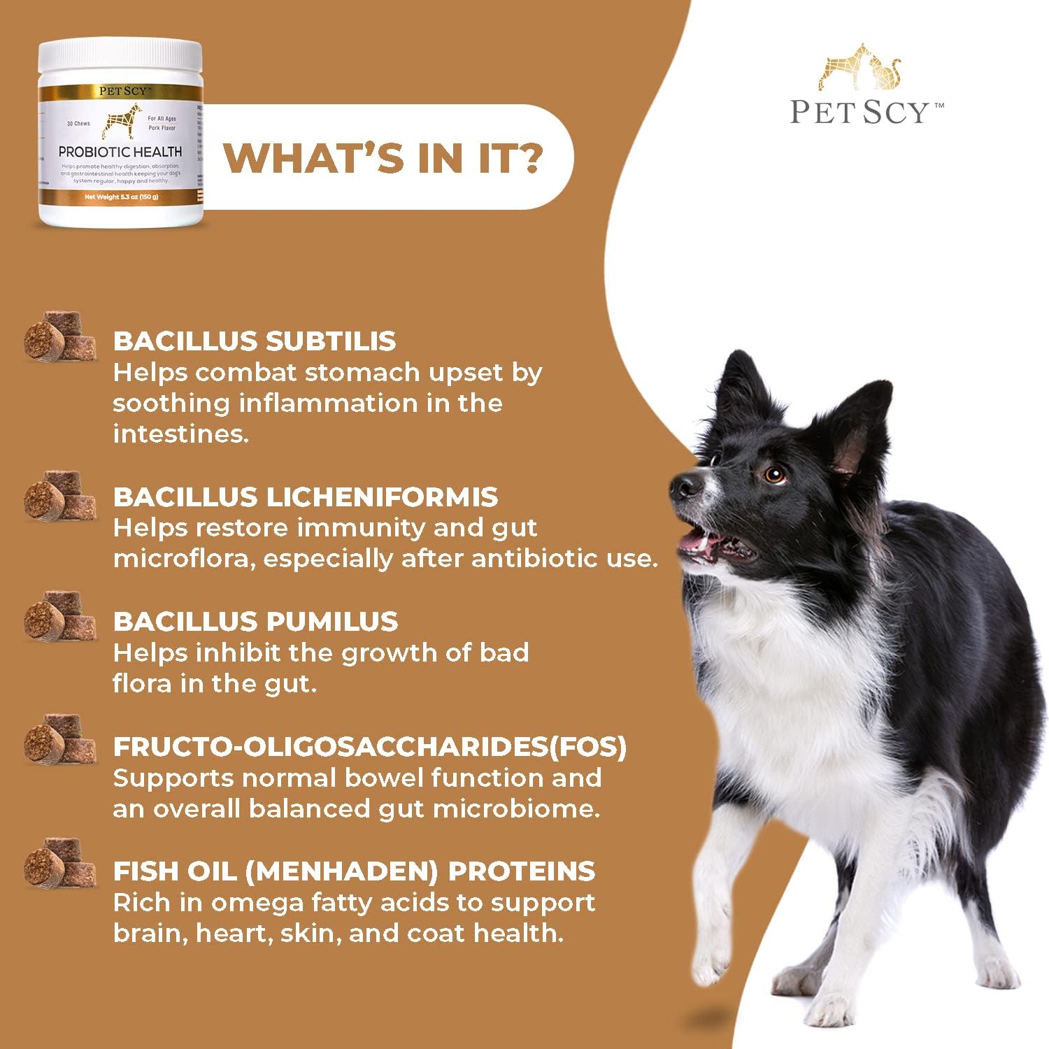 PetScy Probiotic Chews for Dogs - All Ages, Sizes & Breeds, Prebiotic Fiber, Omega-3, Skin, Coat, Gut Health - 30 Chews
