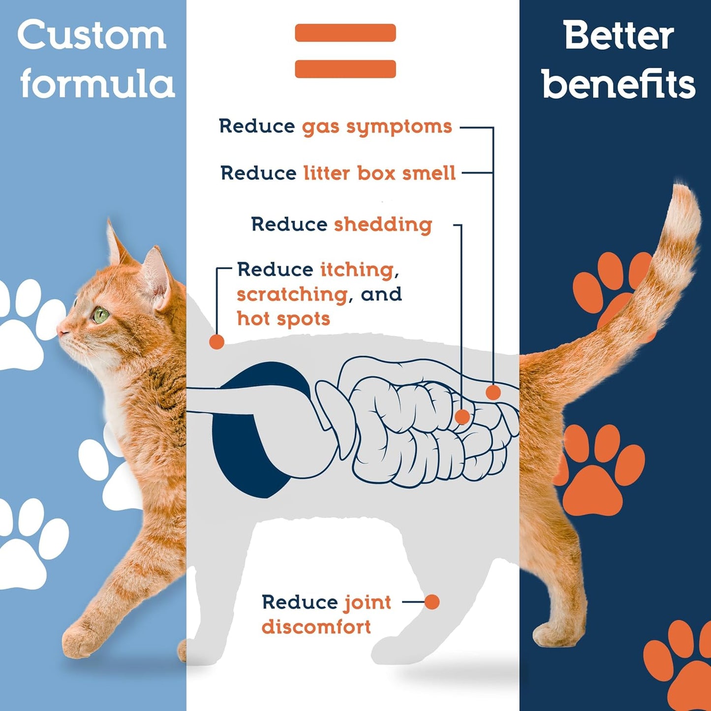 PetUltimates Probiotics for Cats - 20-Species Cat Probiotic Powder for Diarrhea, Vomiting, Digestive Support & Antibiotics Recovery - Cat Health Supplies (44g)