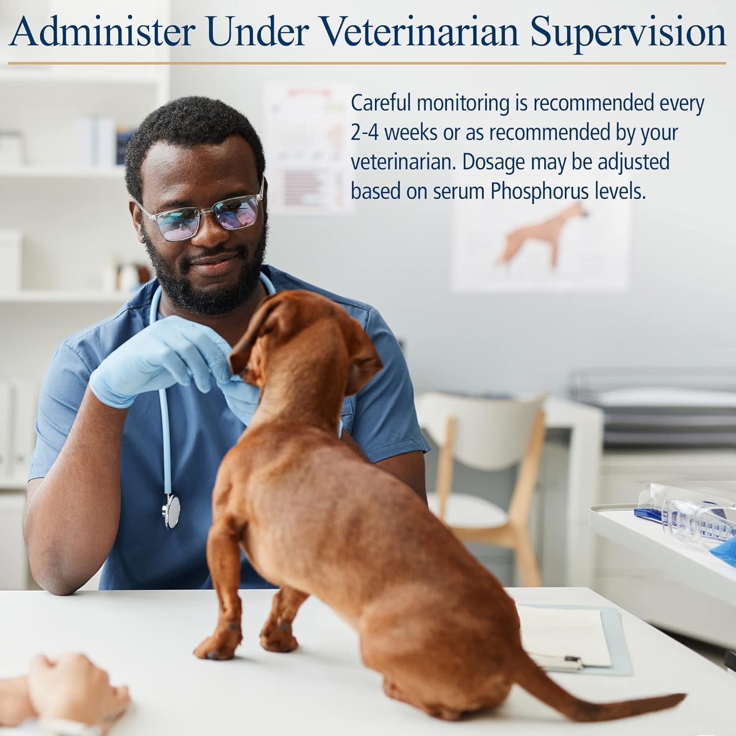 Phos-Bind Kidney Support Powder for Cats & Dogs - 35g Supplement for Kidney Health, Cleanse, and Care