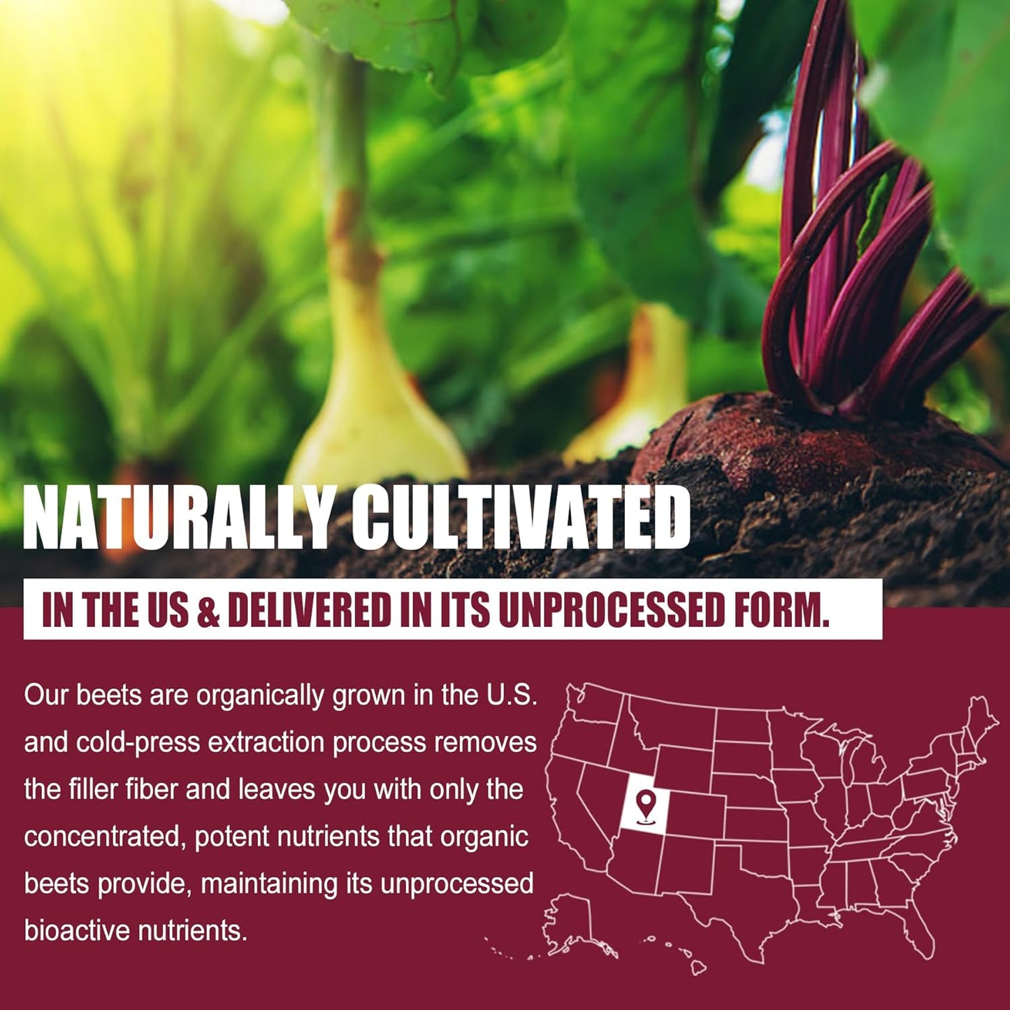 Phosphatidylserine Supplement with Beet Root Gummies - Nextdia 100mg Formula