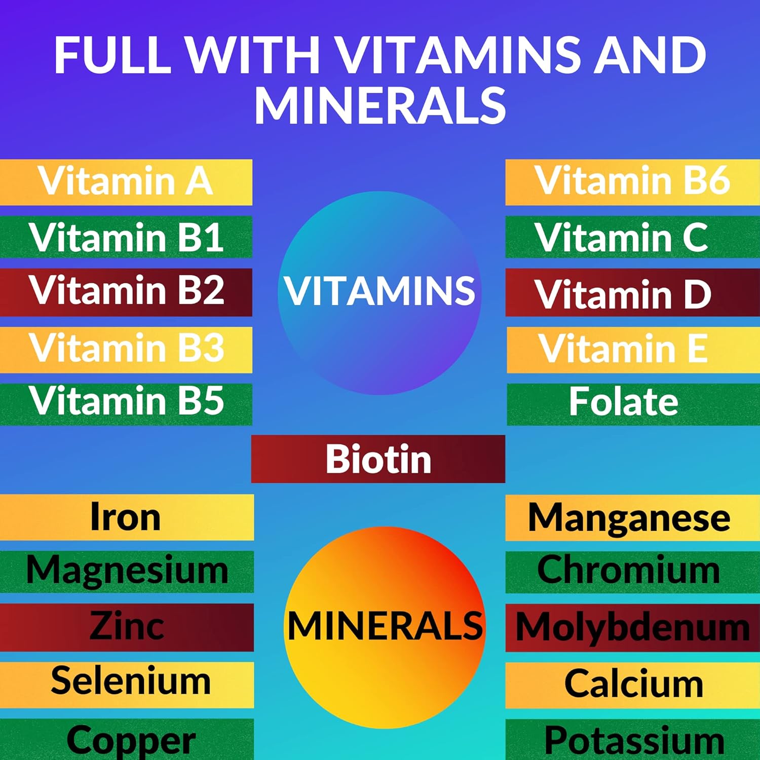 PhytoLogica Neuro Plus Brain and Focus Formula with Vitamins, Minerals, and Herb Extracts - Enhances Memory, Focus, and Mental Clarity - 60 Capsules