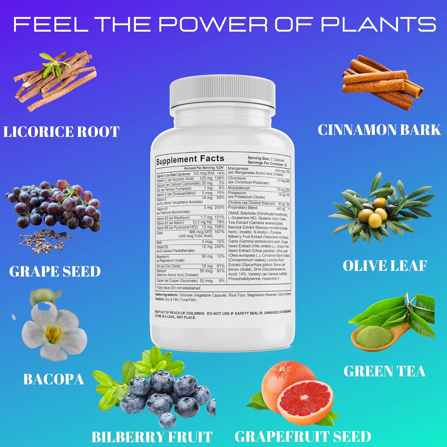 PhytoLogica Neuro Plus Brain and Focus Formula with Vitamins, Minerals, and Herb Extracts - Enhances Memory, Focus, and Mental Clarity - 60 Capsules