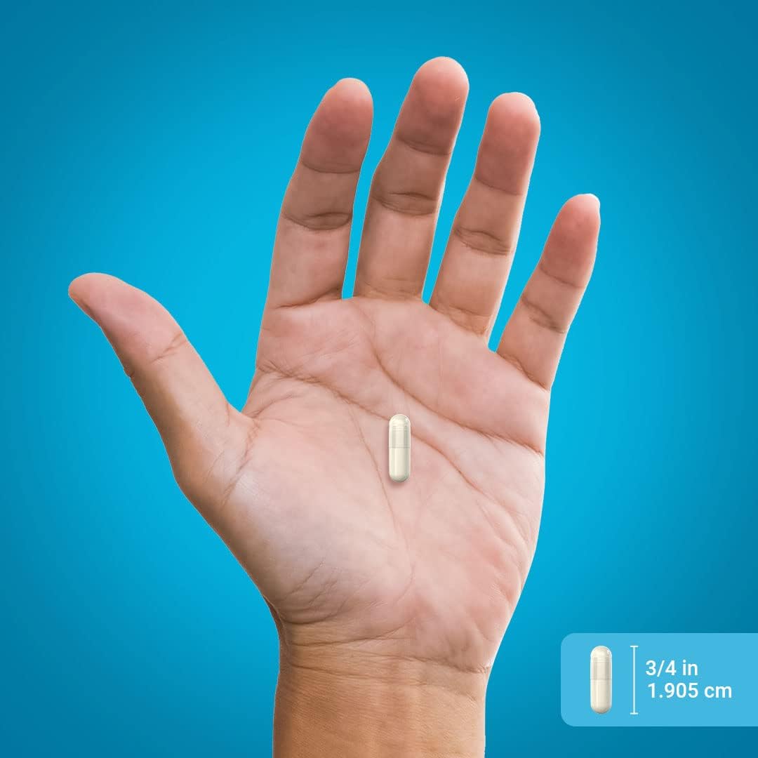 Piping Rock Probiotic Multi Enzyme Capsules - 50 Billion Active Organisms - Digestive Formula with Prebiotics - Men and Women - Non-GMO - Gluten Free