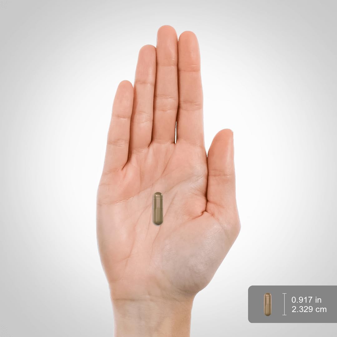 Piping Rock Schizandra Berry Capsules 1160mg | 100 Count | Non-GMO, Gluten Free Supplement