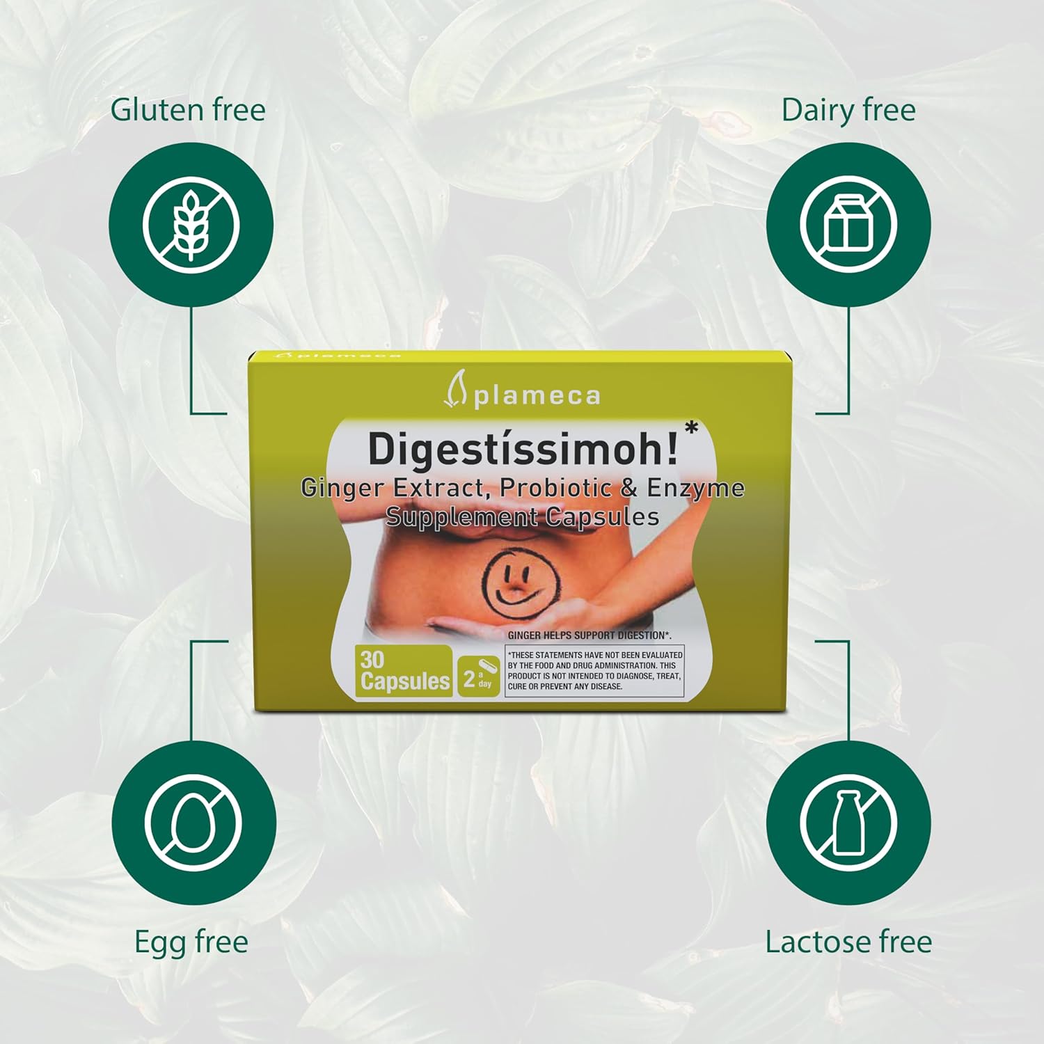 Plameca Digestíssimoh! Digestive Enzymes & Probiotics with Ginger Extract - 9 Strains for Gut Support & Meal Time Relief - Gluten-Free, Dairy-Free - 30 Capsules