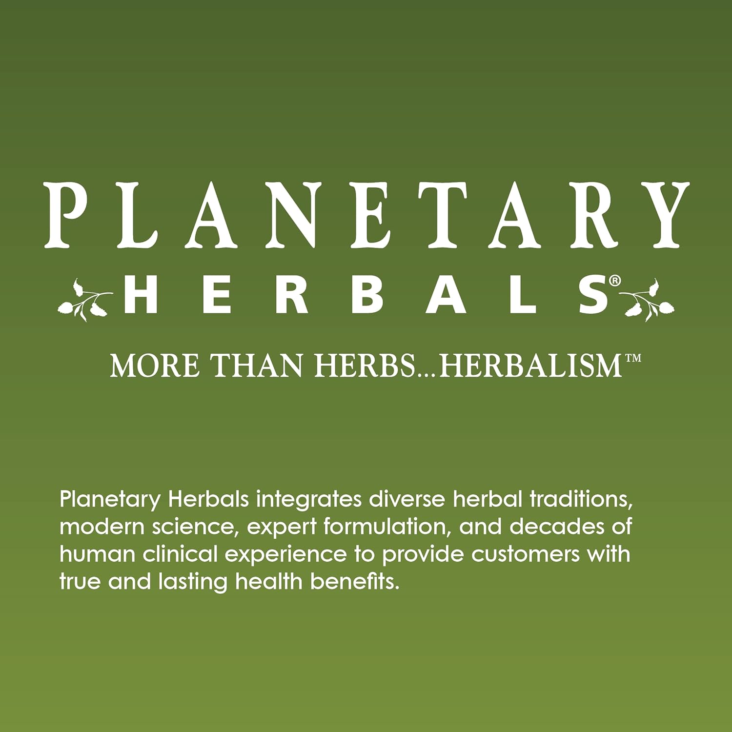 Planetary Herbals Andrographis 400mg Tablets - Supports Digestive, Cardiovascular, Urinary Health - Promotes Liver & Immune Function - 120 Count
