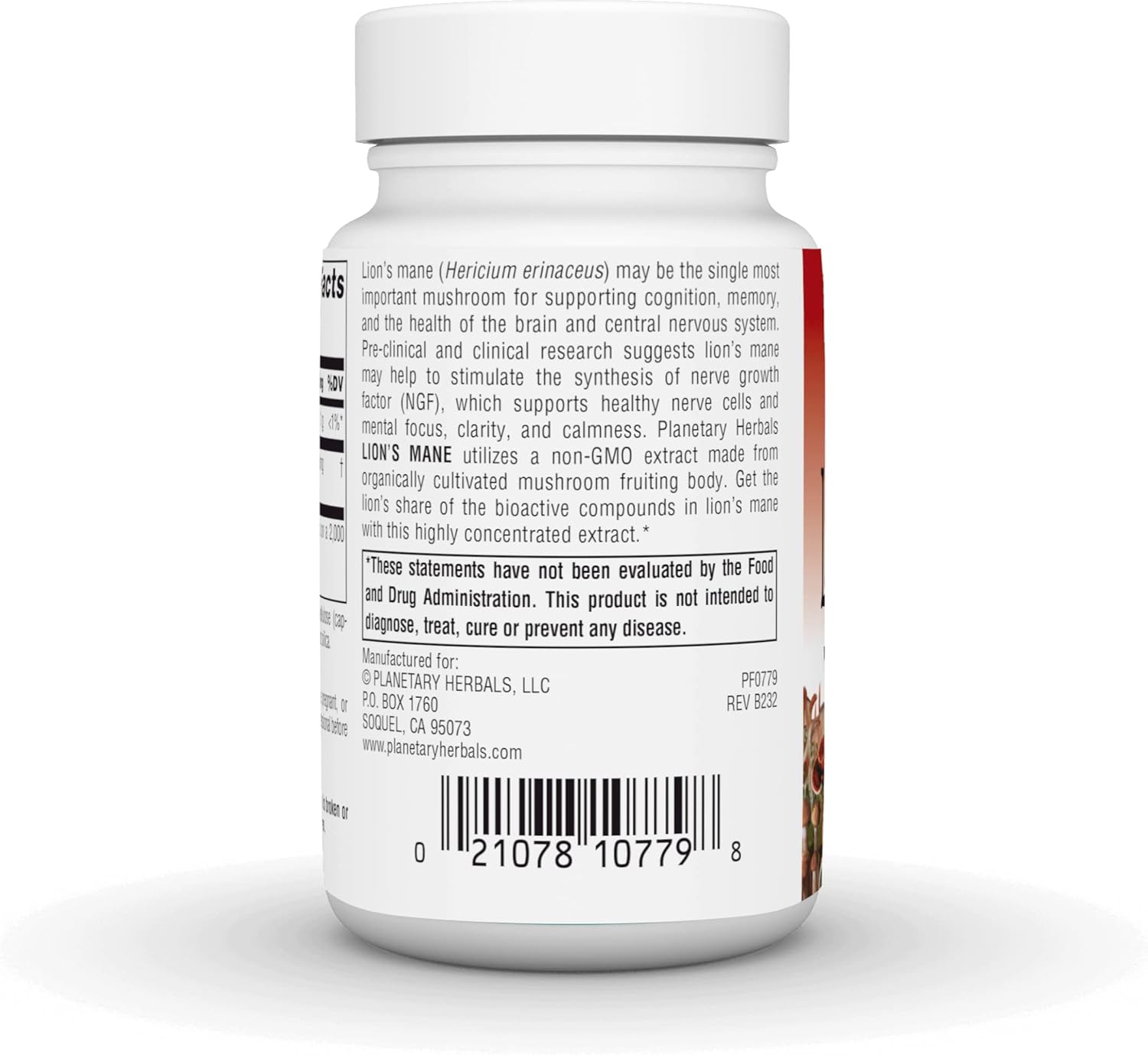 Planetary Herbals Lion's Mane Capsules, 1,000 mg - Memory, Focus, Mood Support - 30 Vegan Capsules