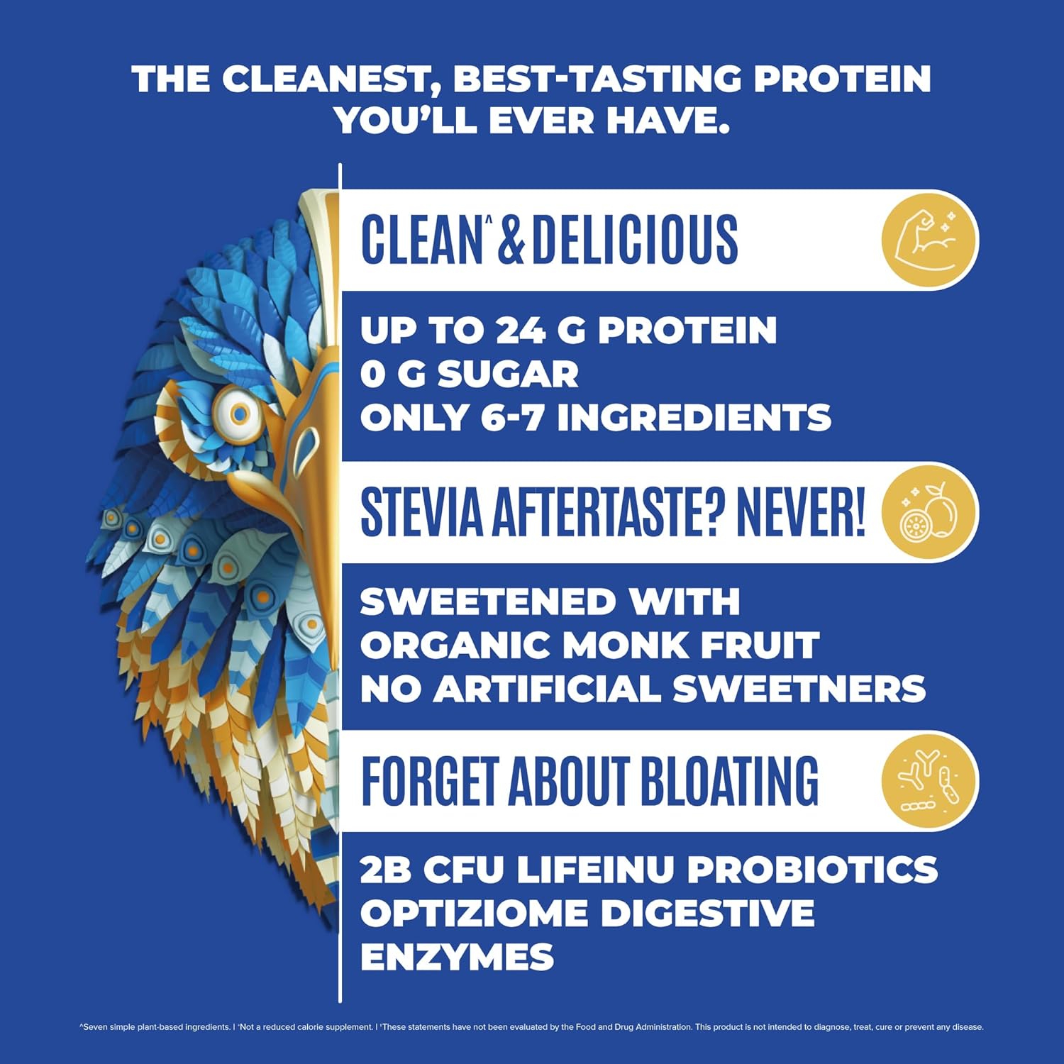 Plant-Based BIRDMAN Falcon Vegan Protein Powder Combo Pack - Organic, Stevia & Sugar Free, Low Carb, Dairy Free, Keto-Friendly - Vanilla & Chocolate Flavors, 20 Servings Each