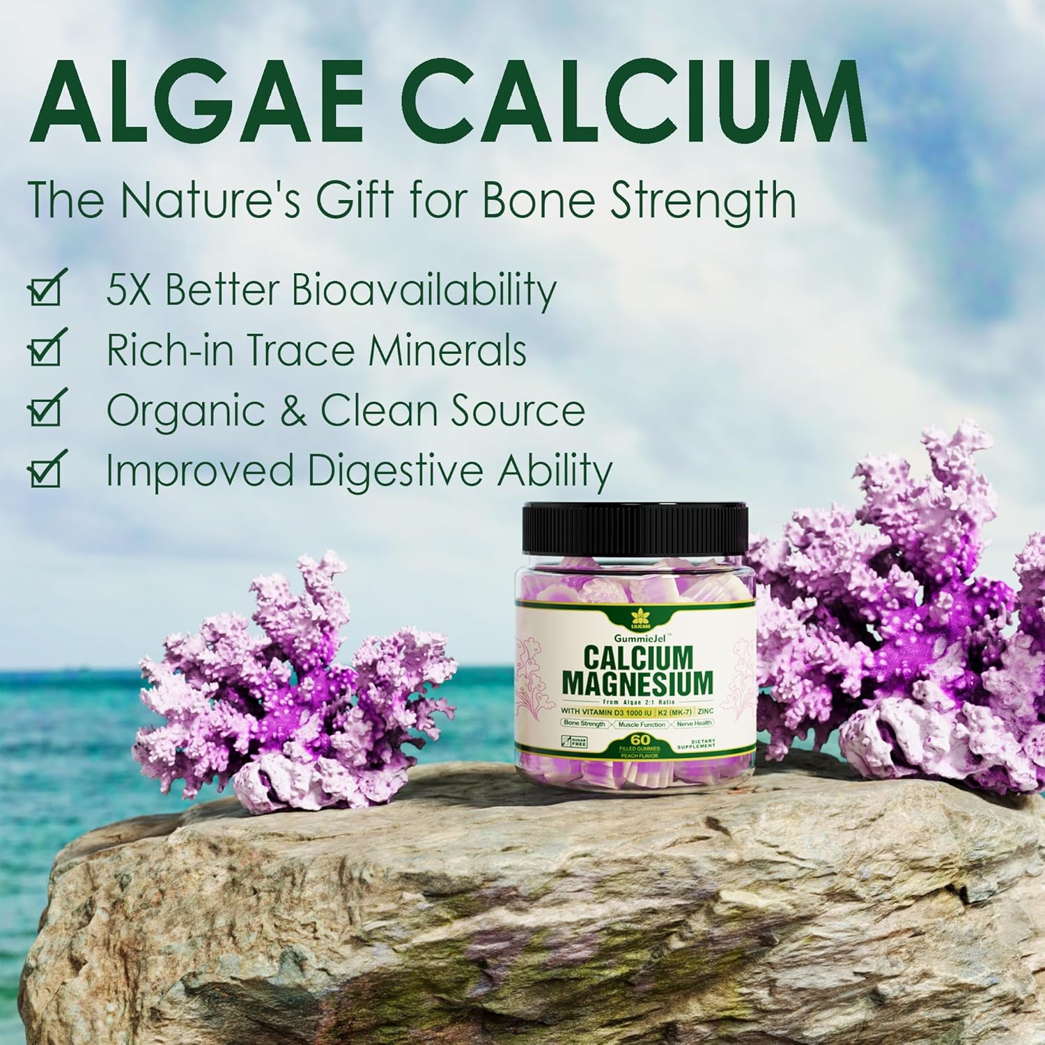 Plant-Based Calcium & Algae Omega 3 1200mg Supplement for Lilicare