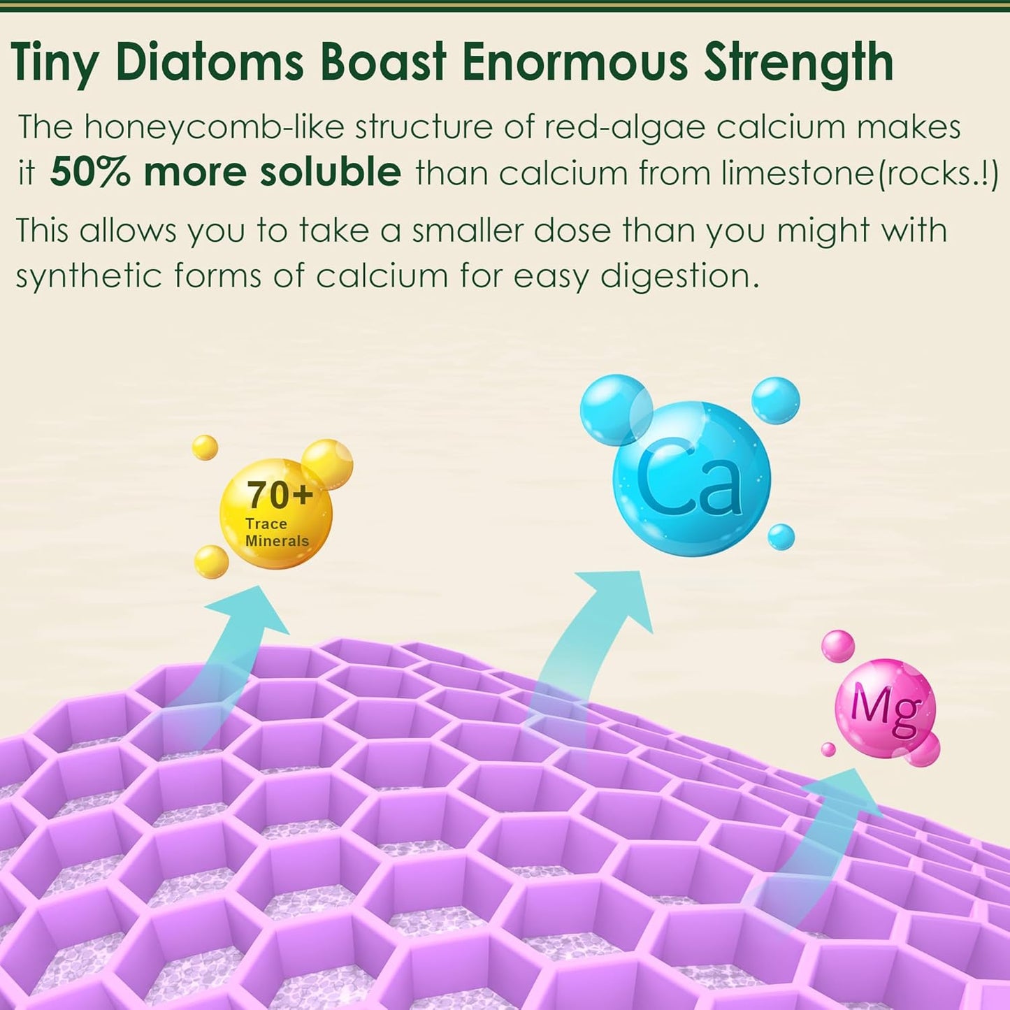 Plant-Based Calcium & Algae Omega 3 1200mg Supplement for Lilicare