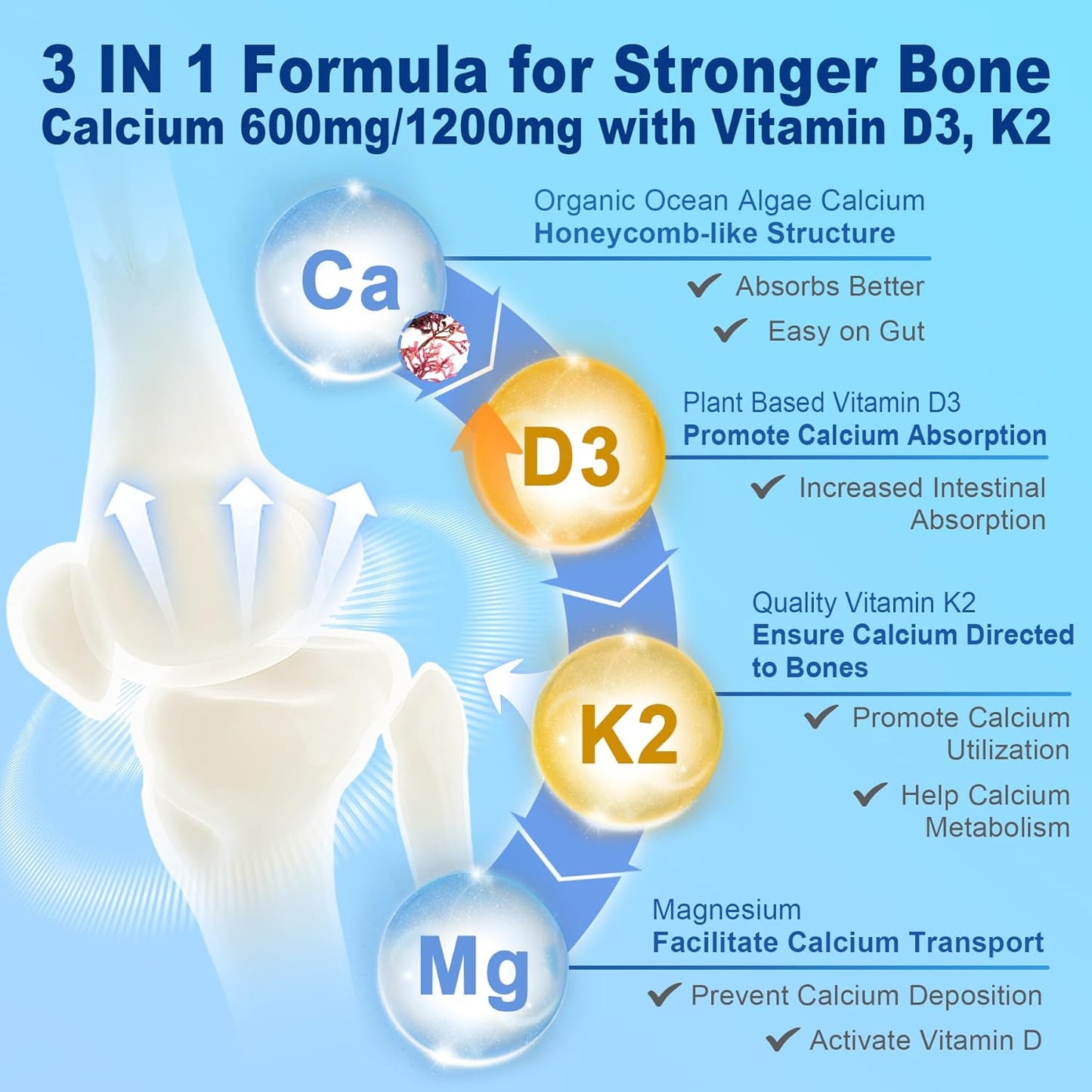 Plant Based Calcium Supplement with Vitamin D3, K2, Magnesium - 1200mg 600mg Ocean Algae Calcium - Bone Strength, Teeth Health, Muscle - Vegan Gummies, Sugar Free - 1 Pack